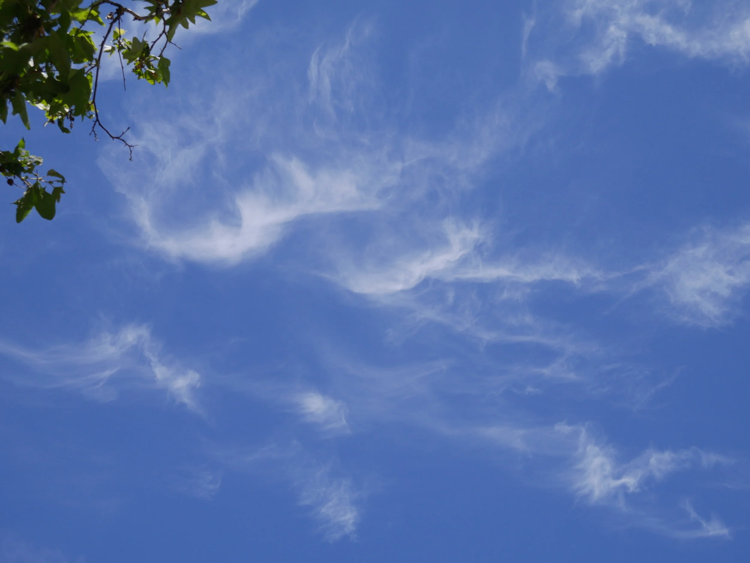 Angels in the sky 4.JPG