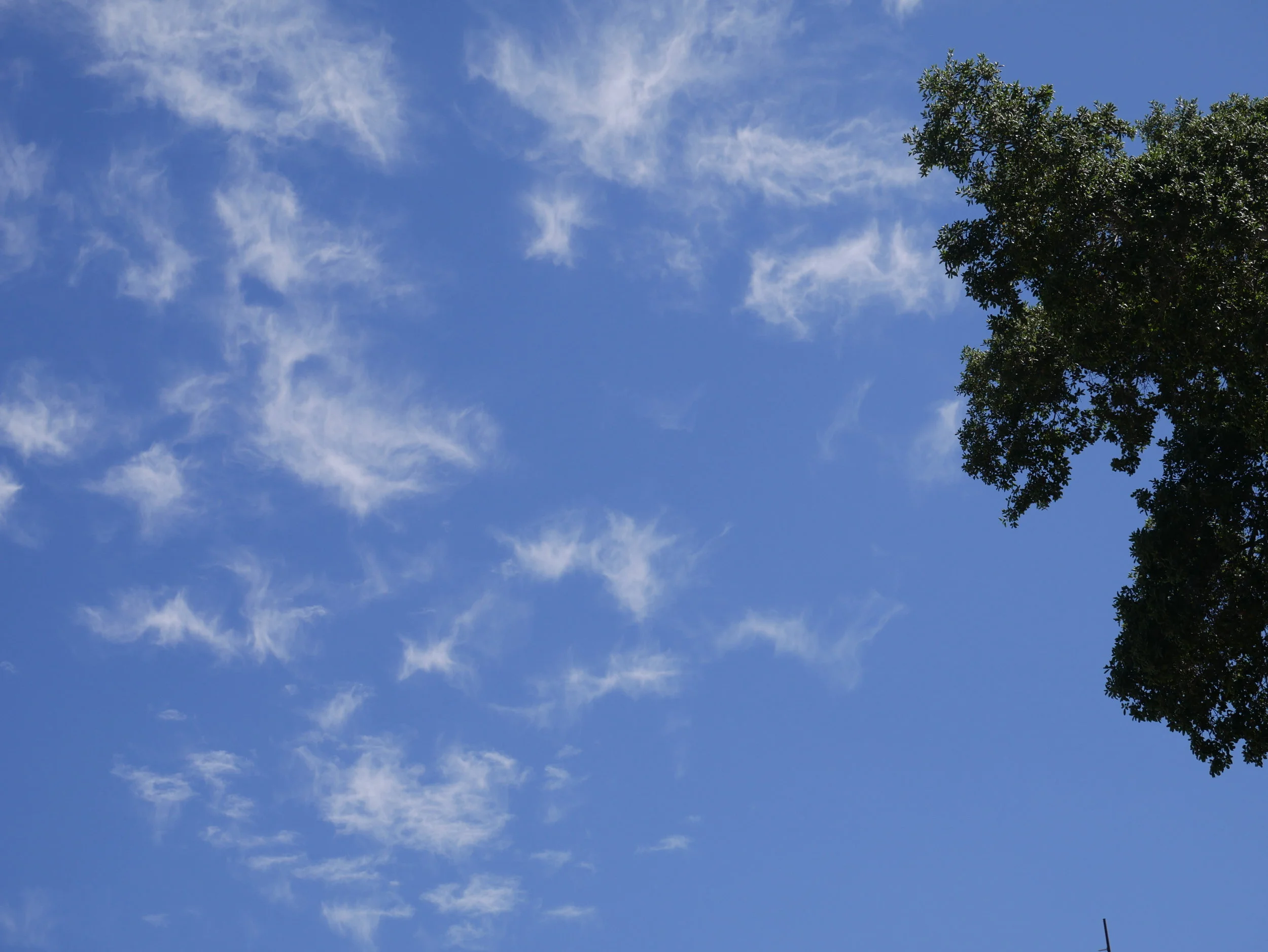 Angels in the sky 5.JPG