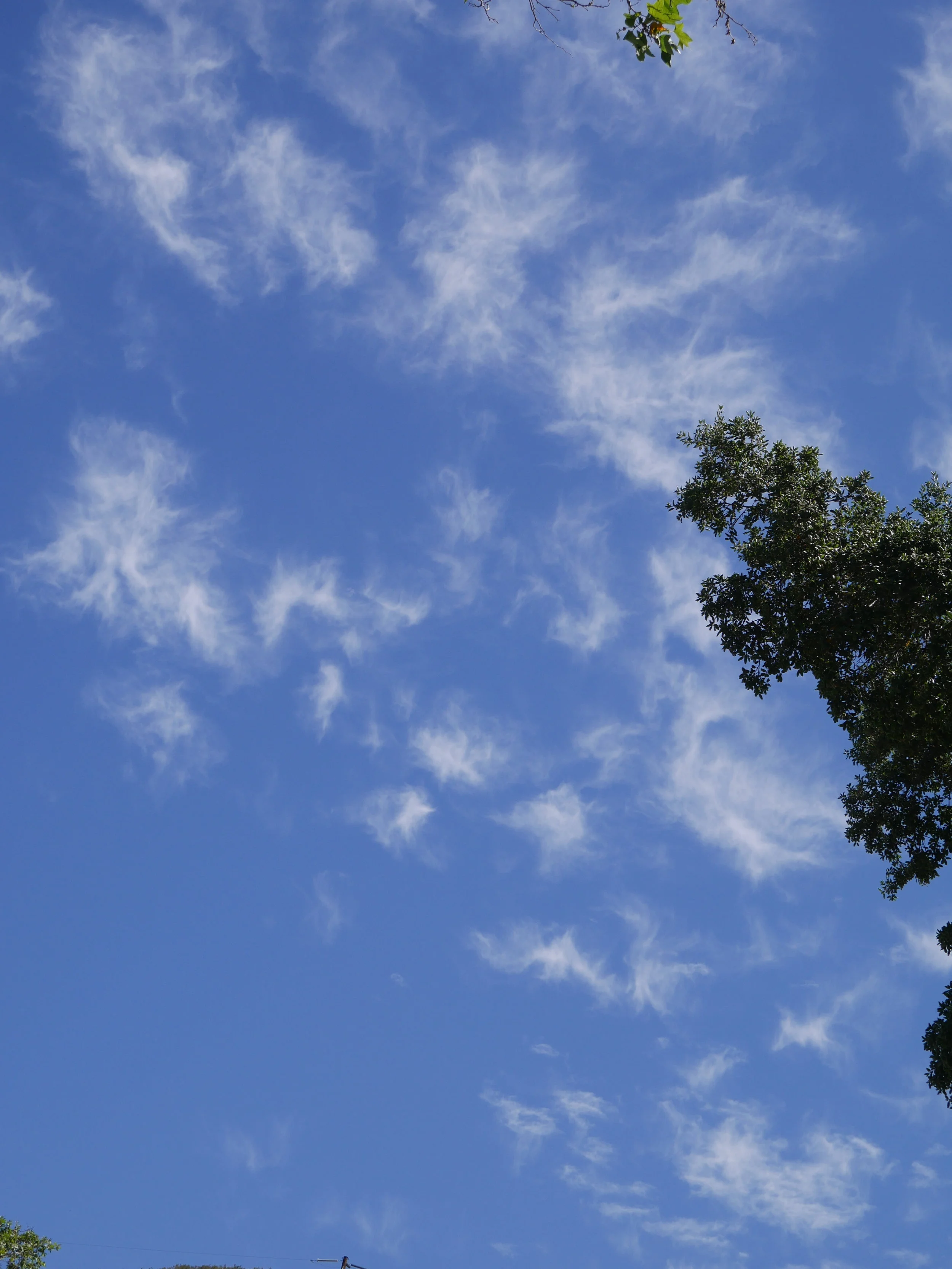 Angels in the sky 6.JPG