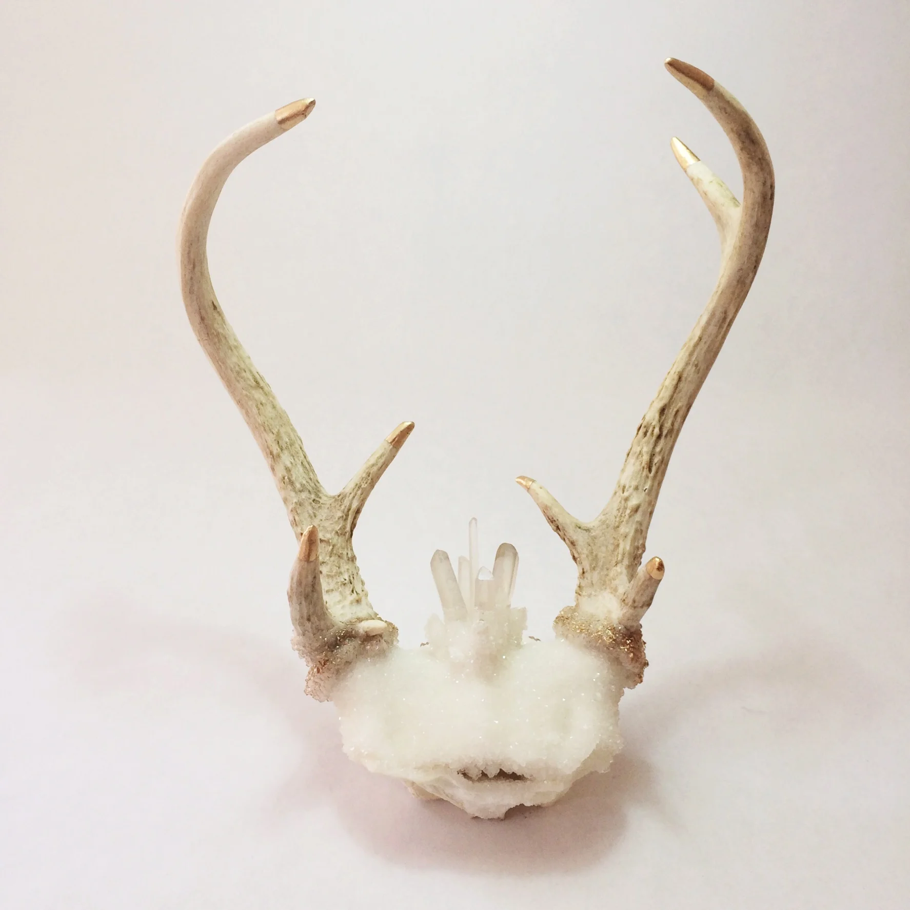 Golden Blooming Antlers