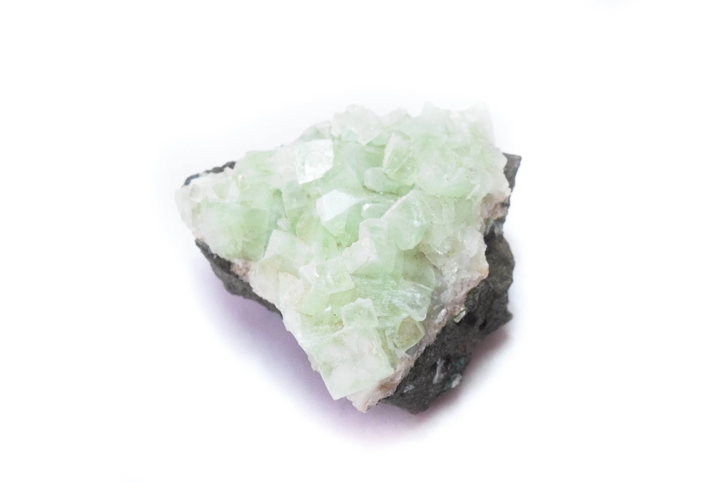  Apothyllite Specimen