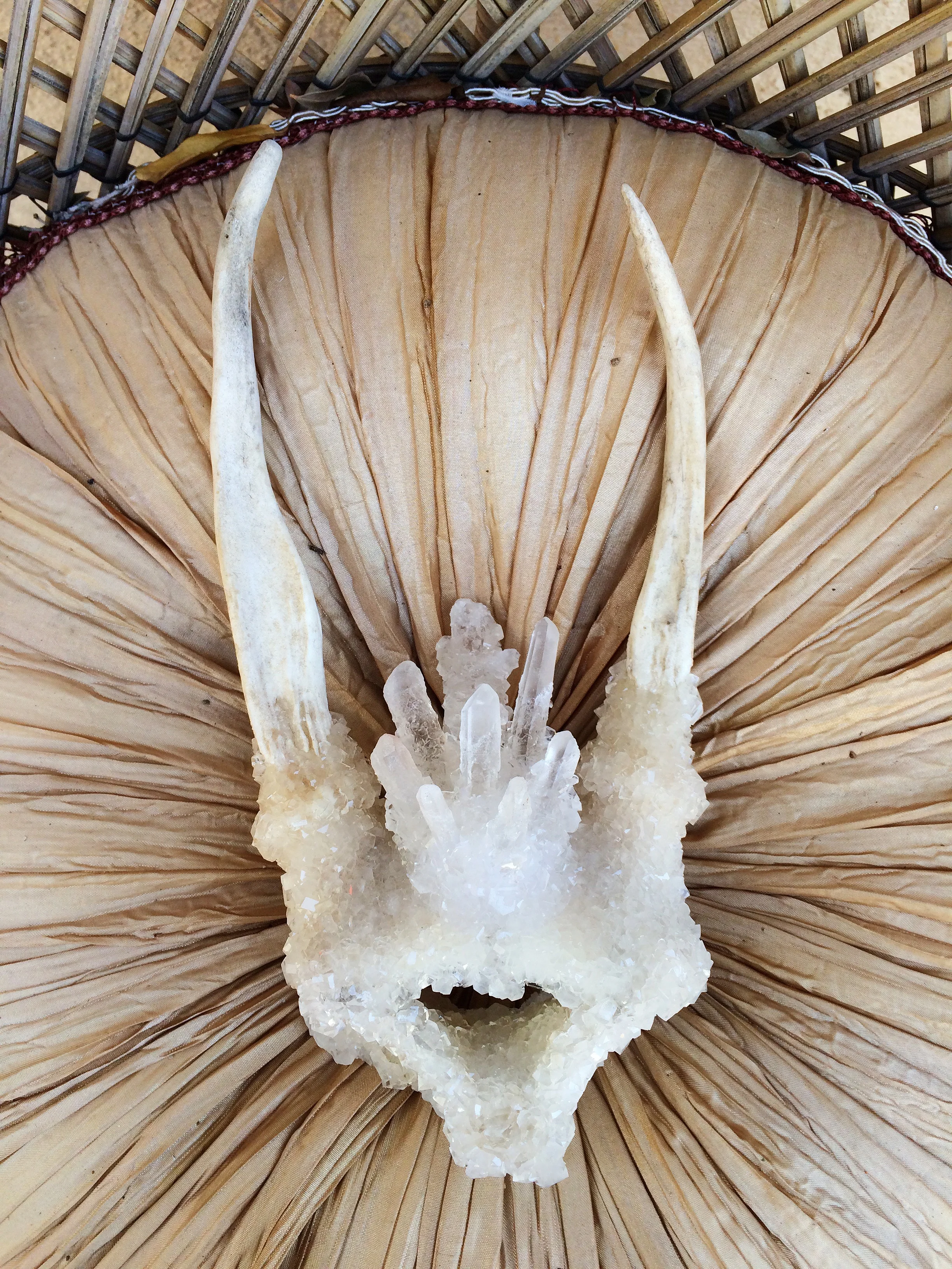Crystal Clear Blooming Antler Piece