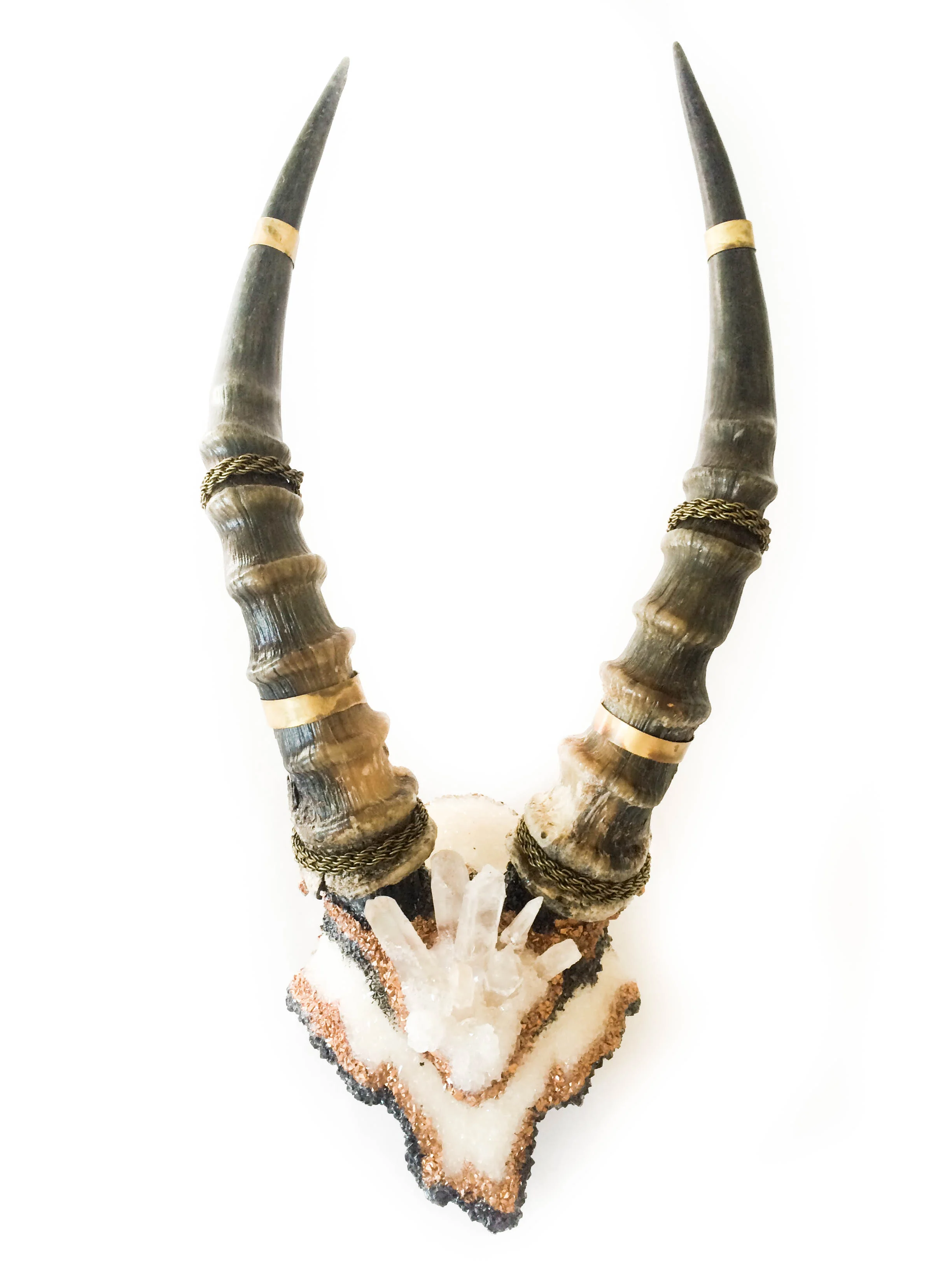 Black&Gold Blesbok Antlers