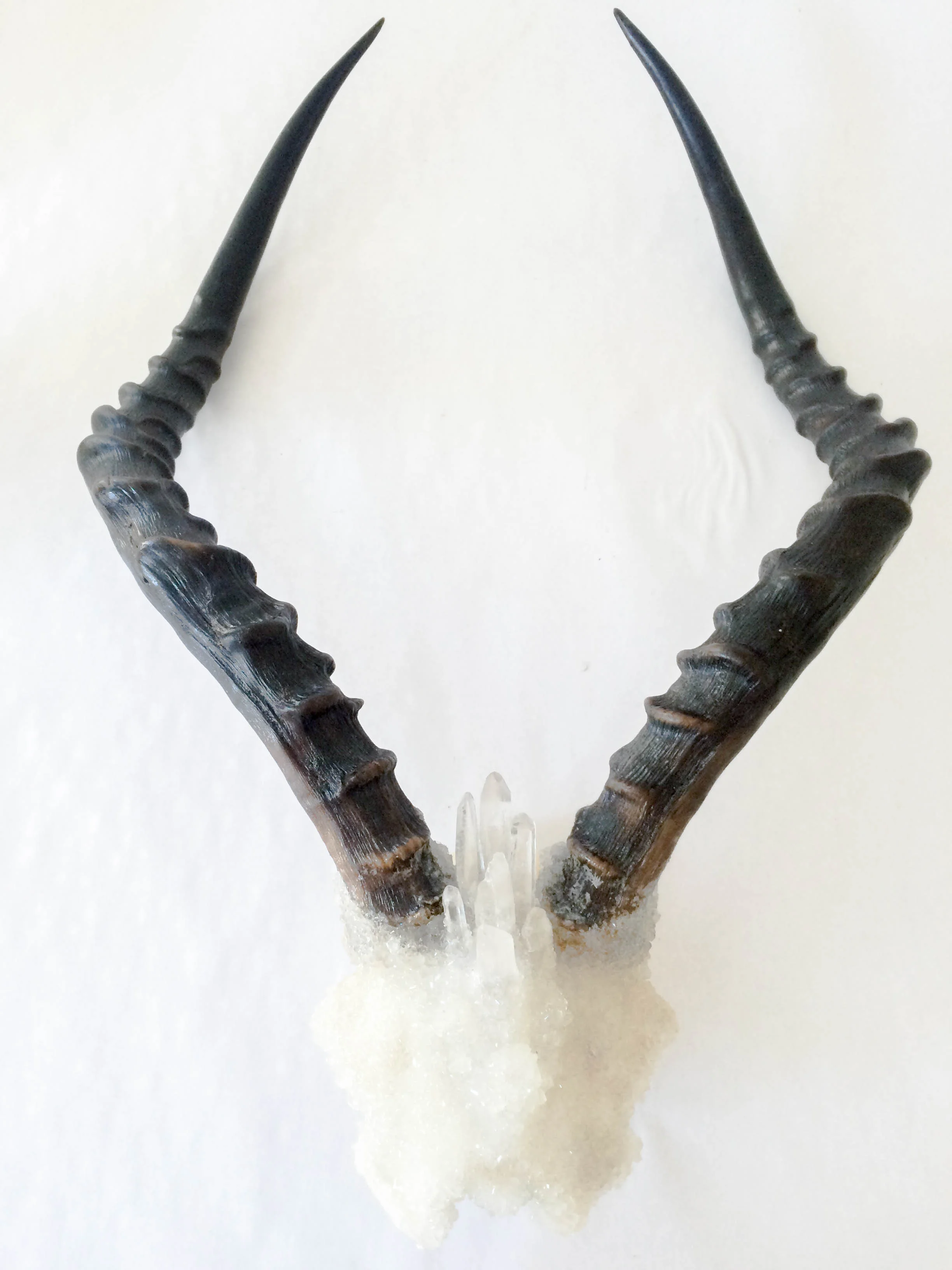 LG Impala Blooming Antlers