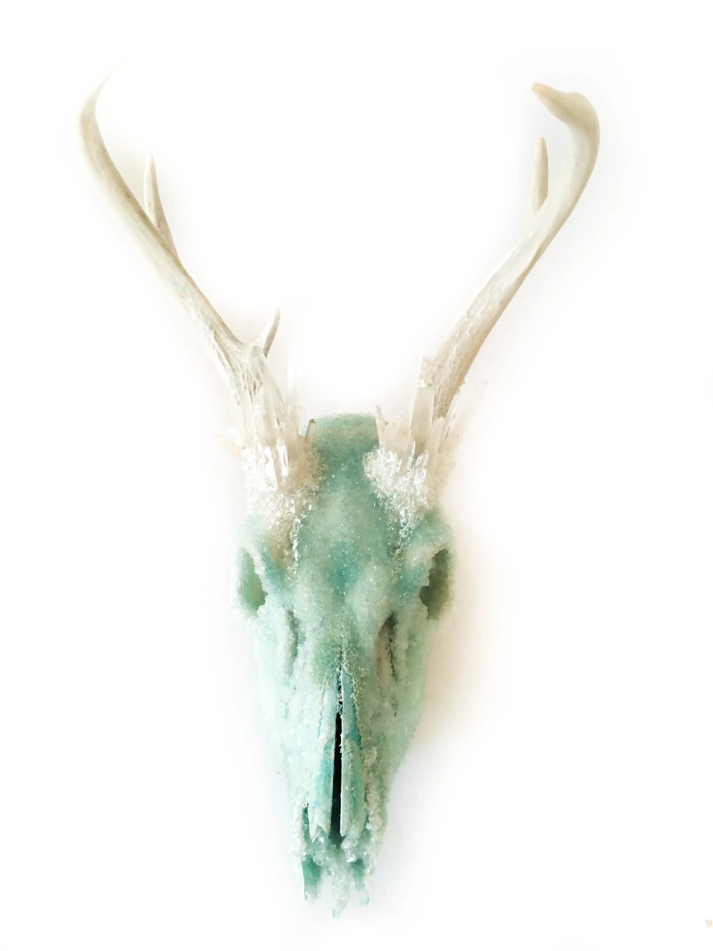 Turquoise Crystal Deer Skull