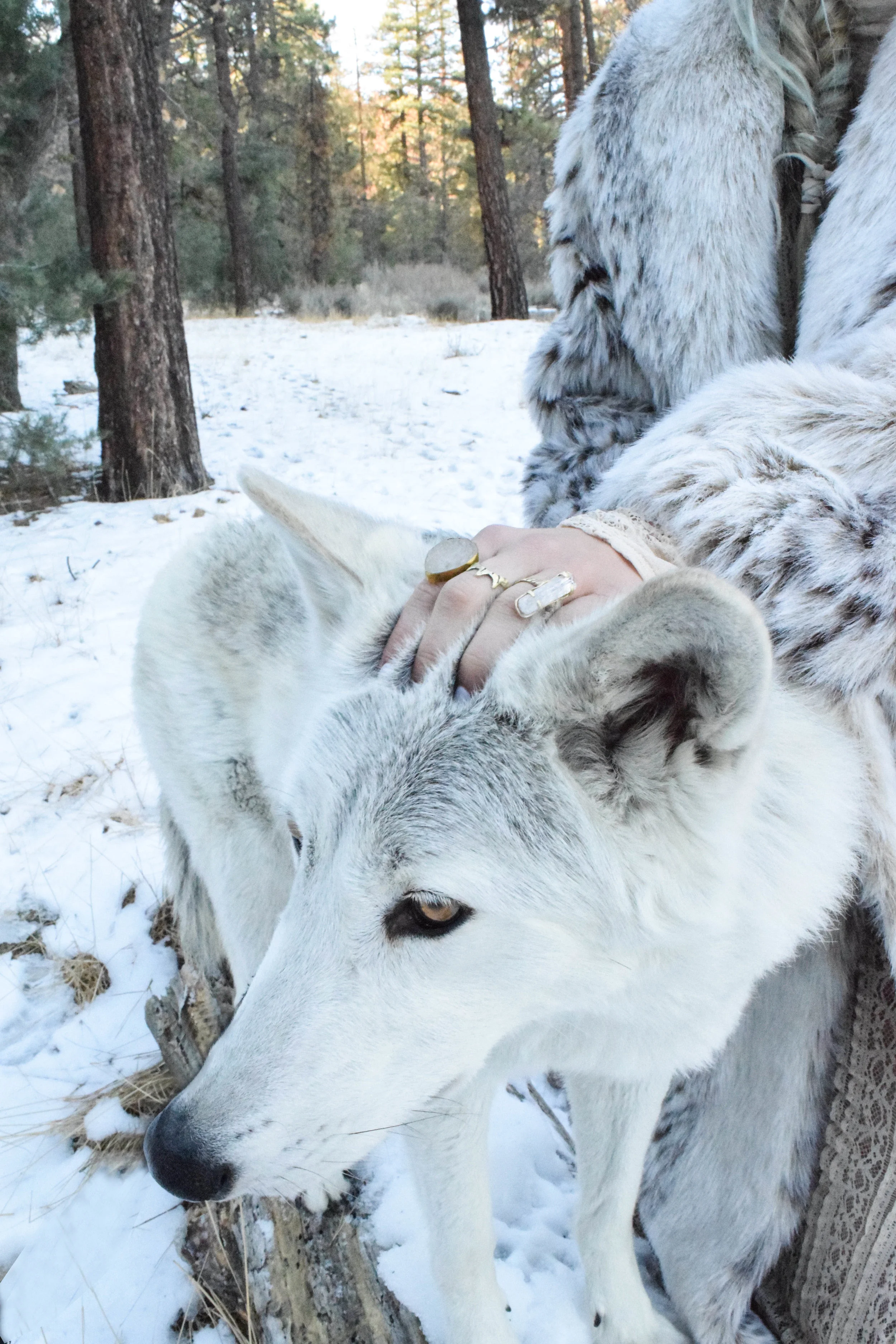 Coron Ring (Set of 3)