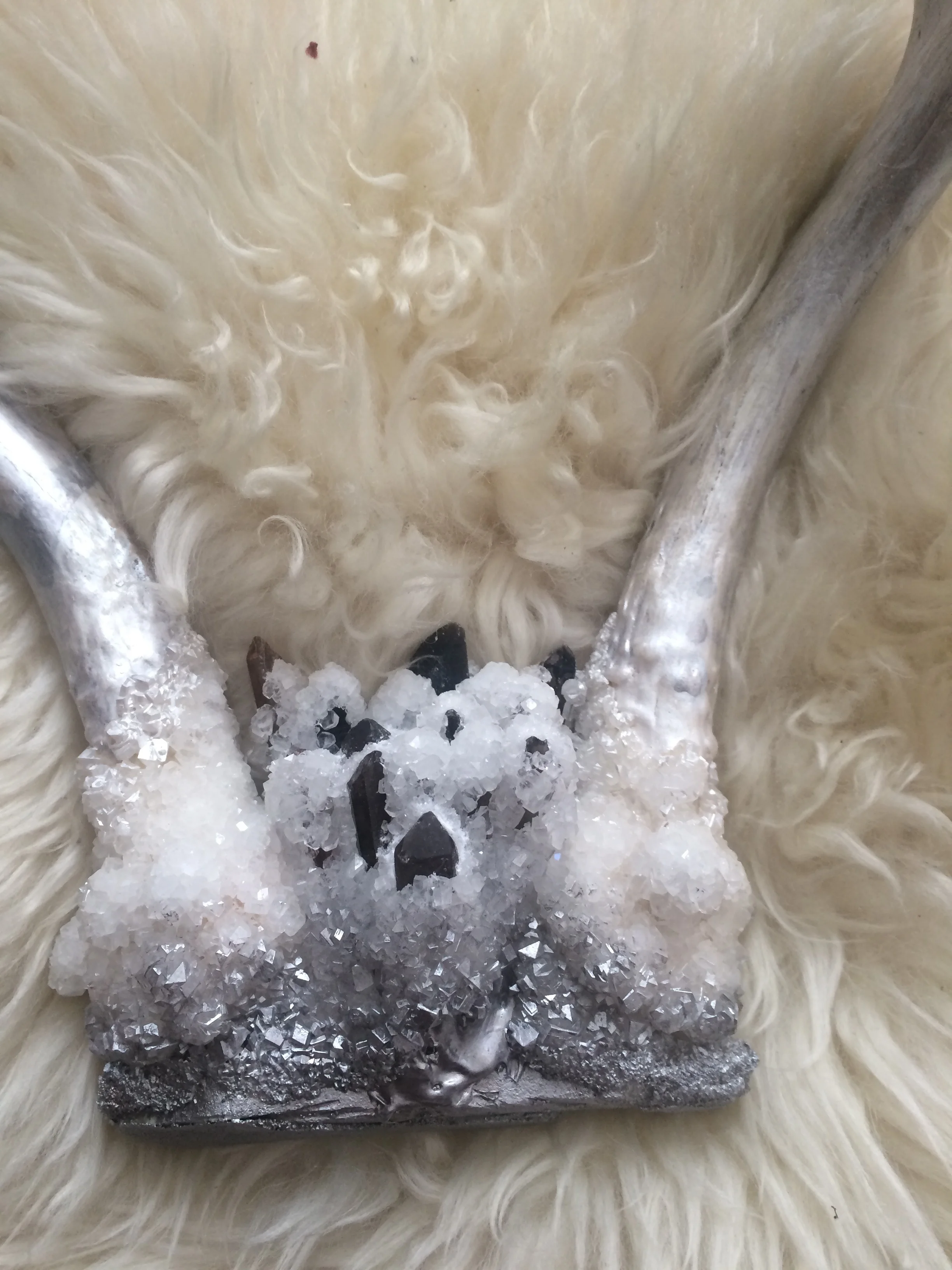 Smoky Silver Blooming Antlers