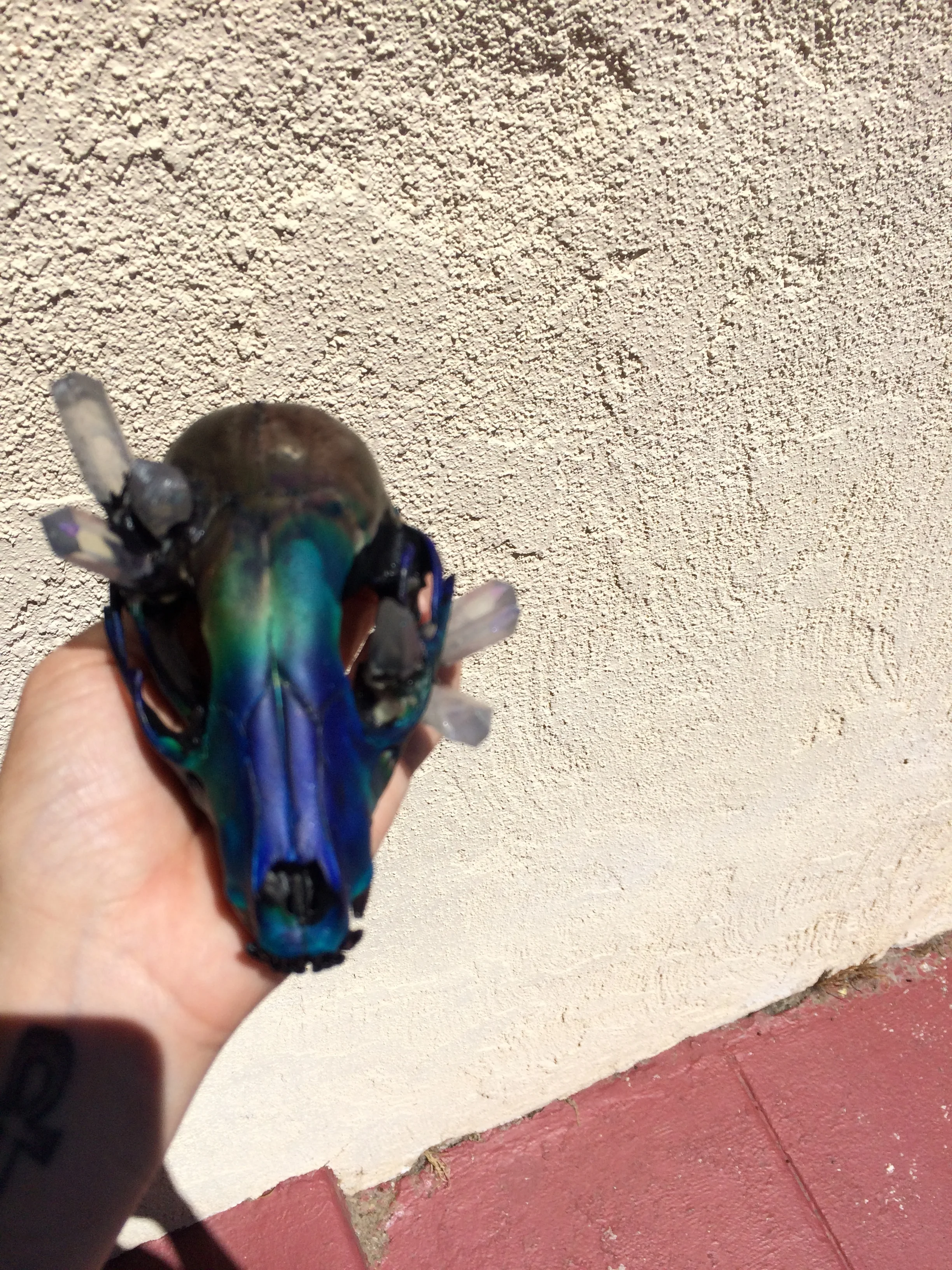 Thermal Color changing Crystal Skull