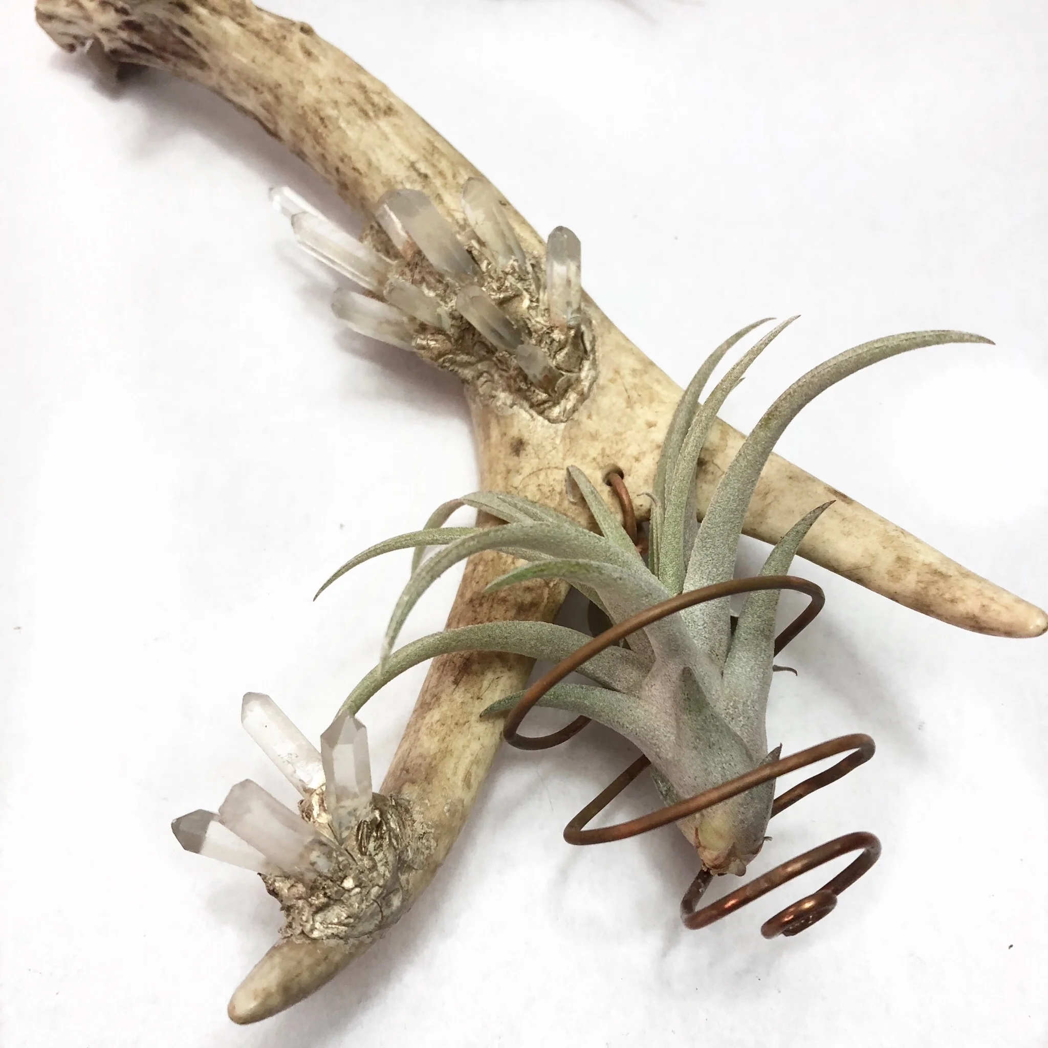 C09E9797-E43C-4B24-AEED-5396DAB4B9EA