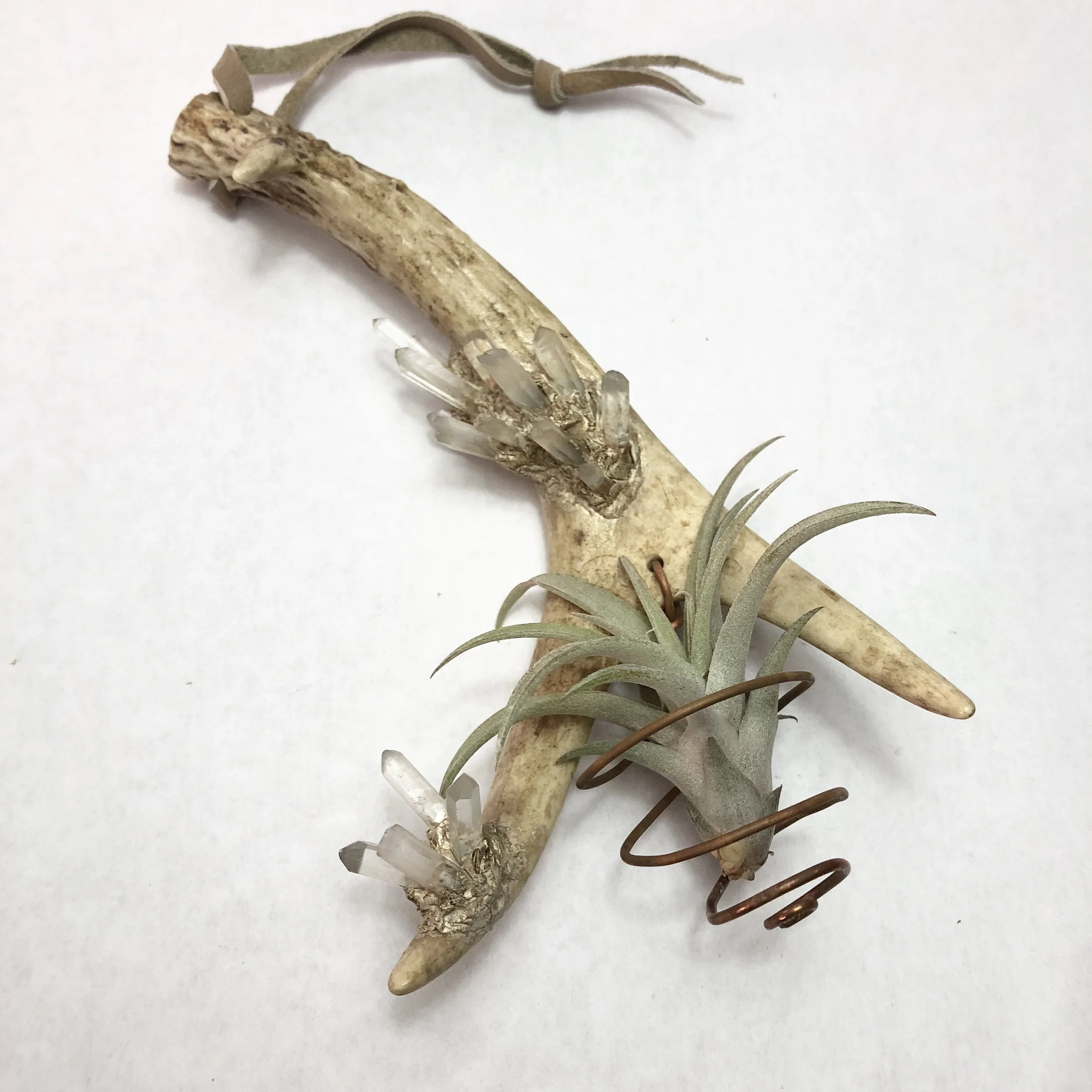 778C31B0-B121-4666-8E1A-C313EAB91130