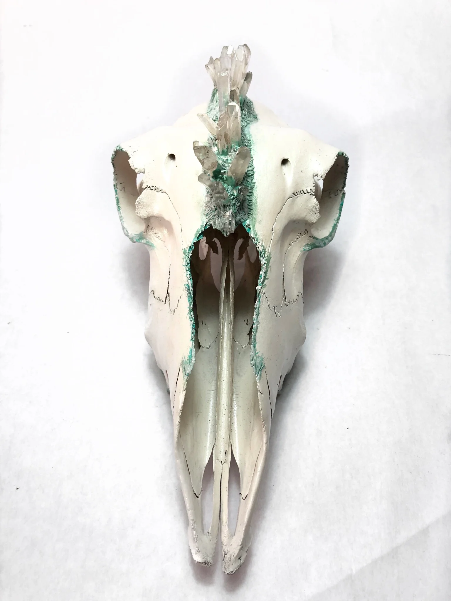 9D7B0C0F-0E65-4D1A-BEDE-5BDB59E22B3E