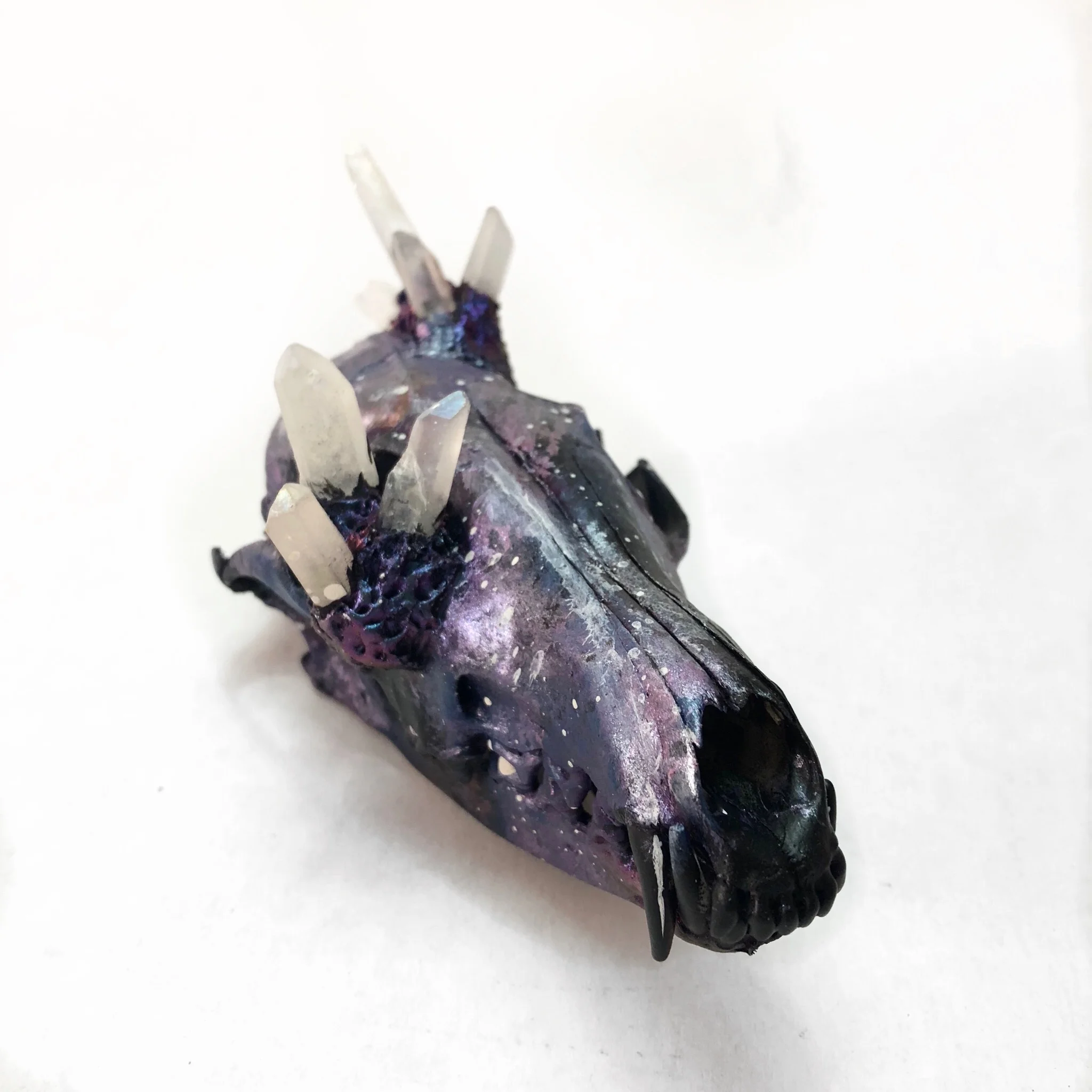 68890917-BD36-4E83-9232-32F9F8504B47