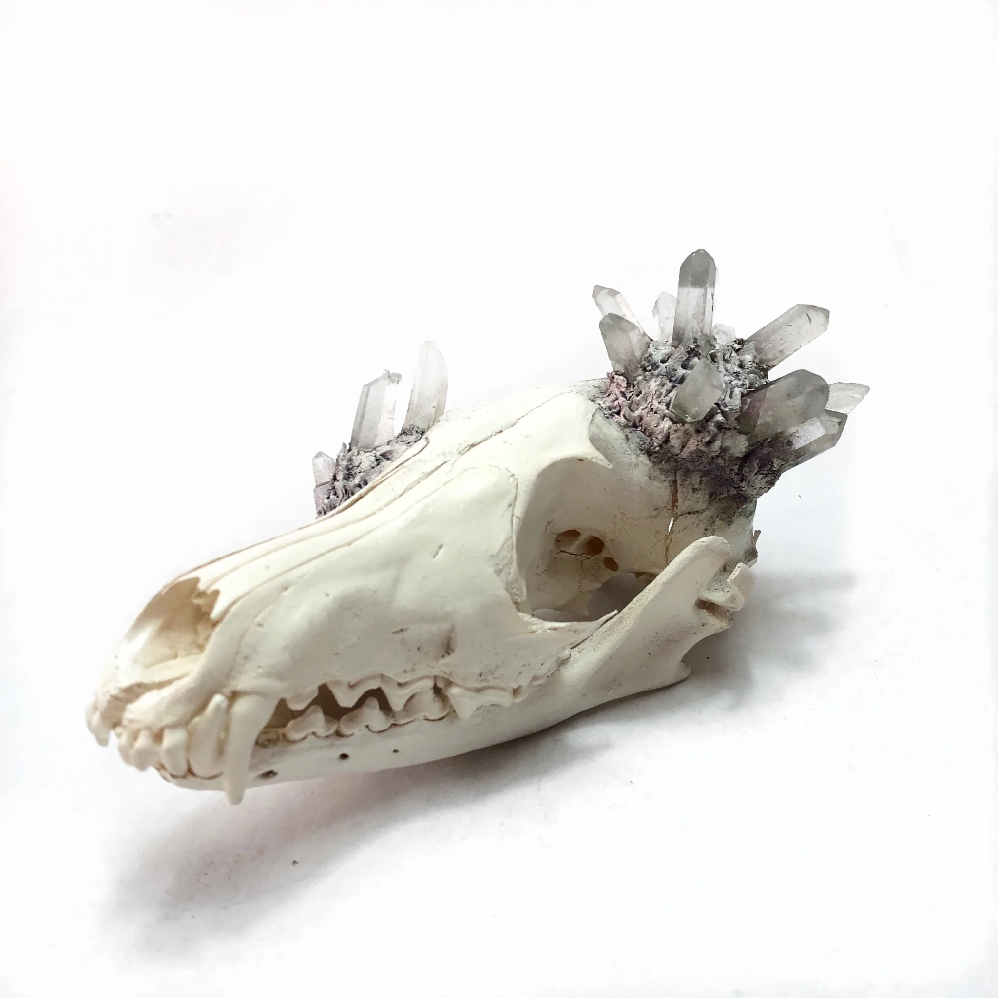 077CEBB7-7DBE-4557-B875-5C374368702B