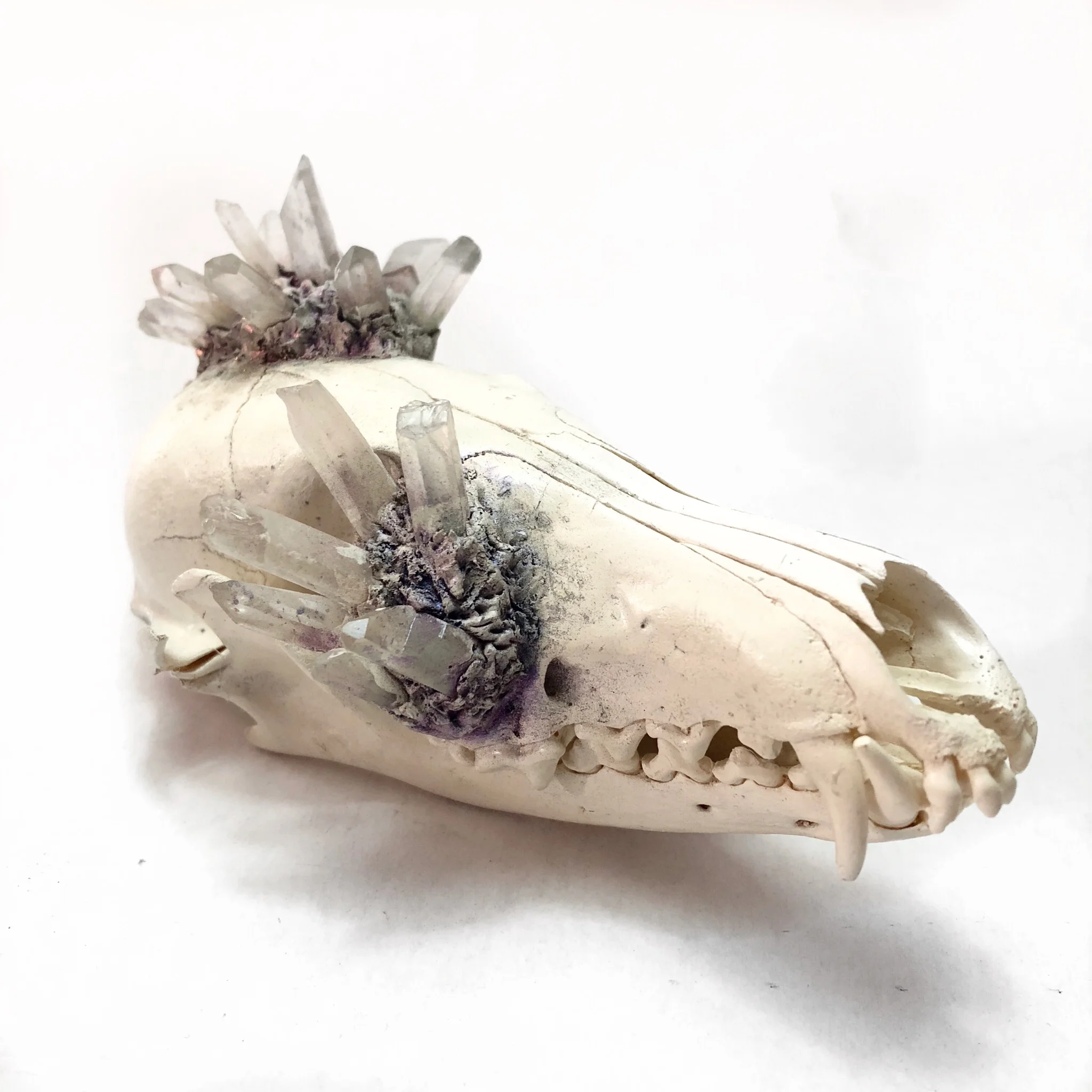 163EE97A-1D73-4759-A27D-456D194C613A