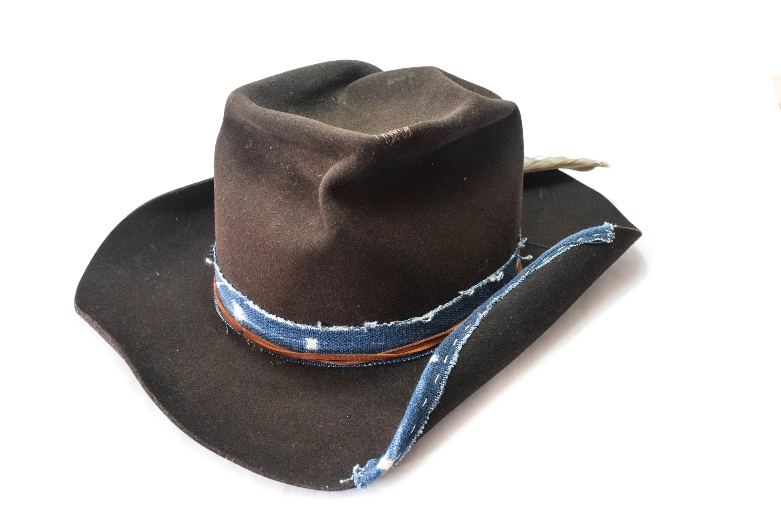 The Railroad Traveler