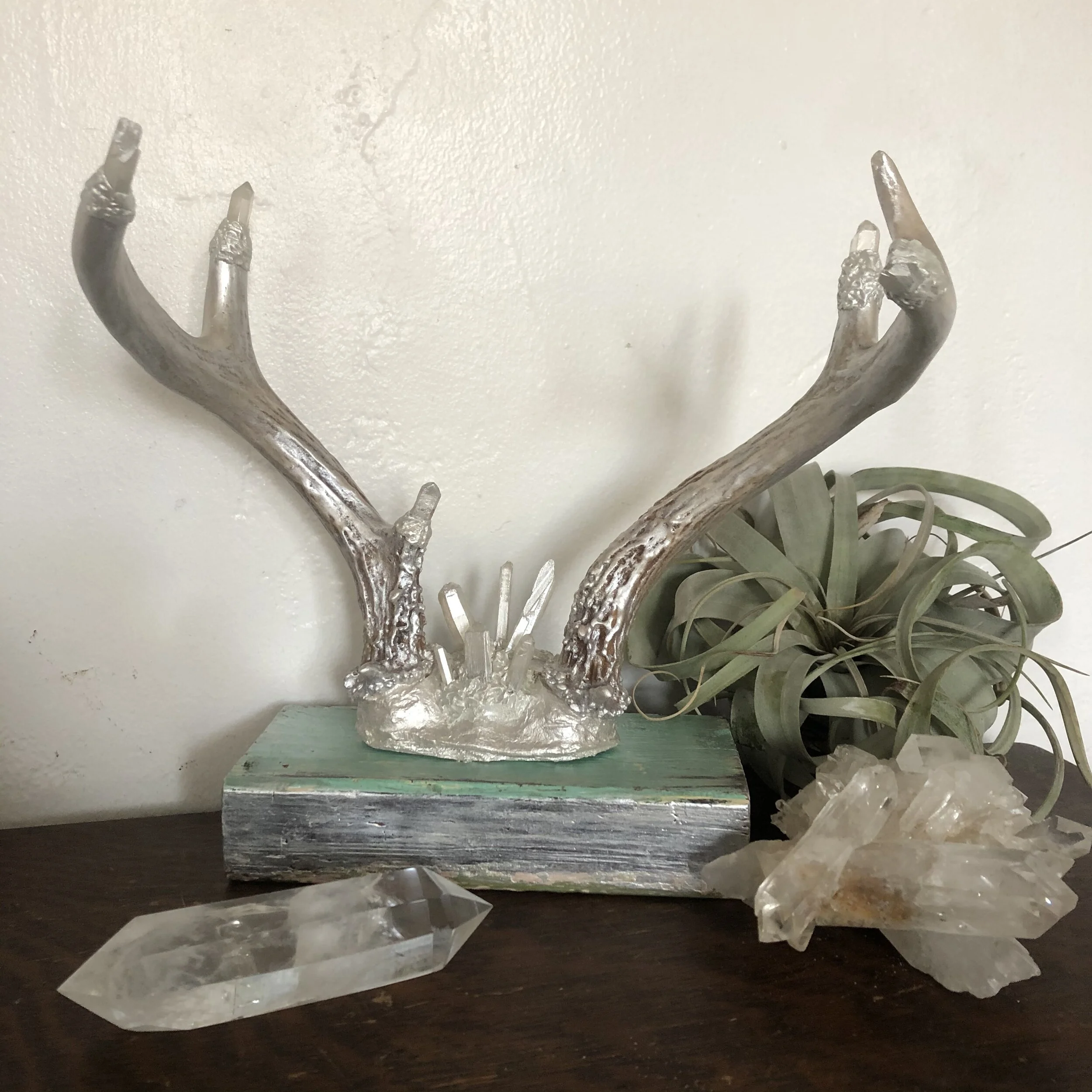 Mounted Crystal Antlers