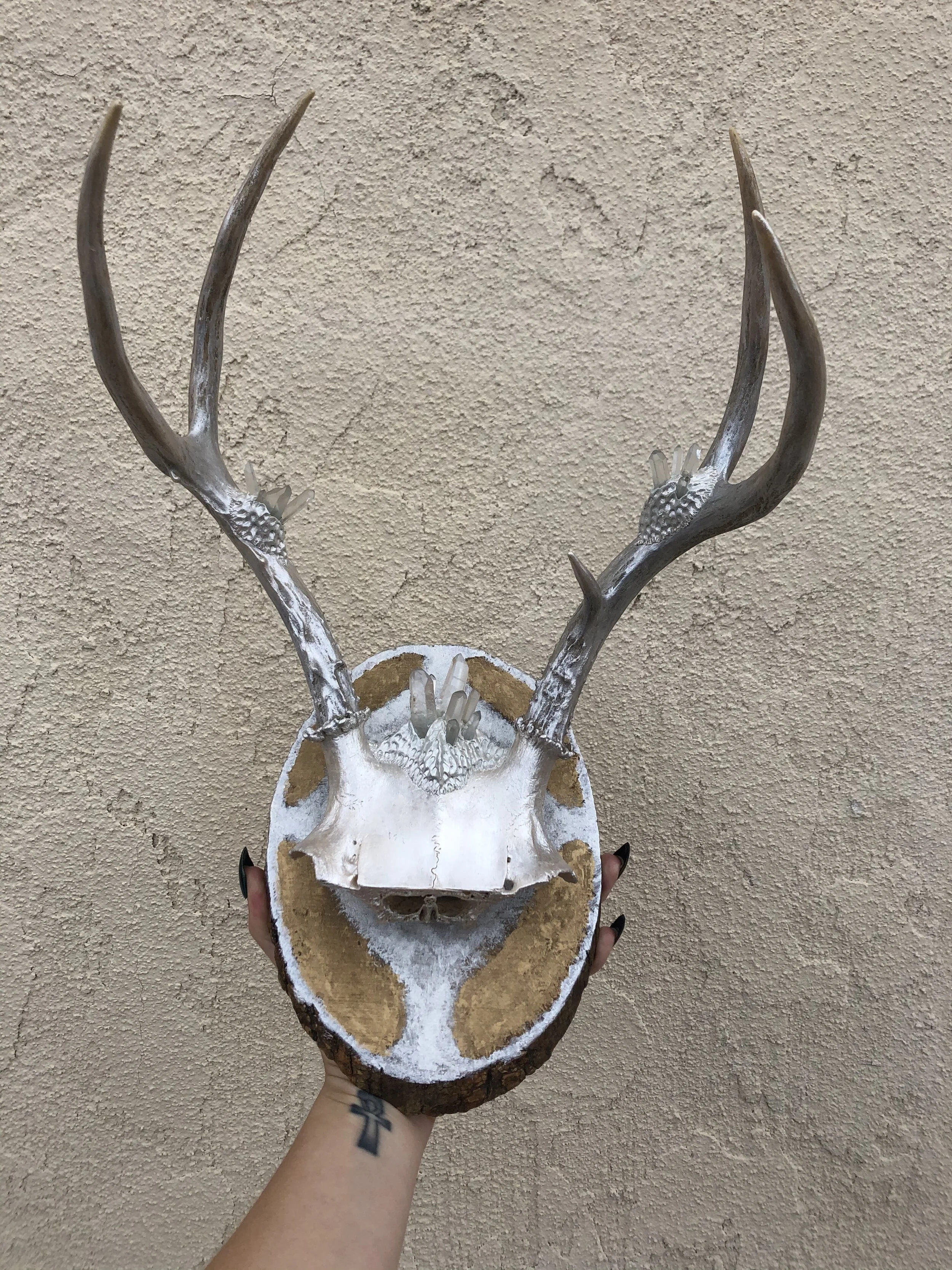 Wall Mounted Crystal Antlers