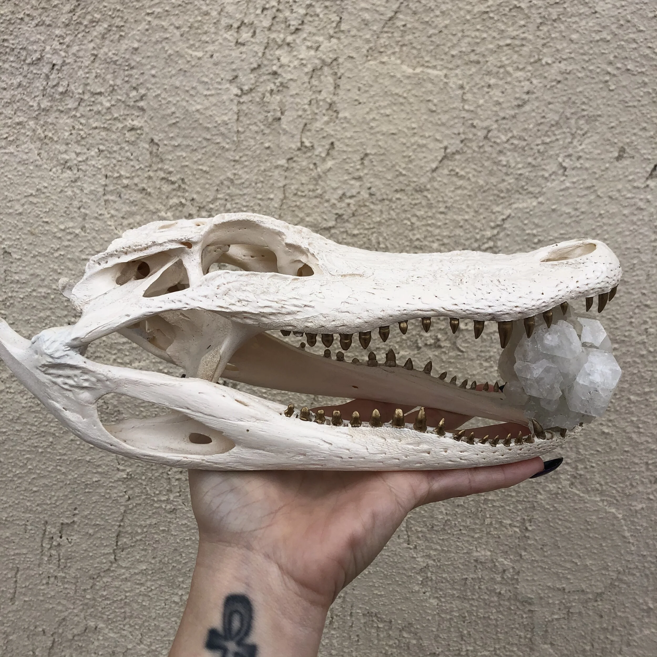 Crystal Alligator Skull