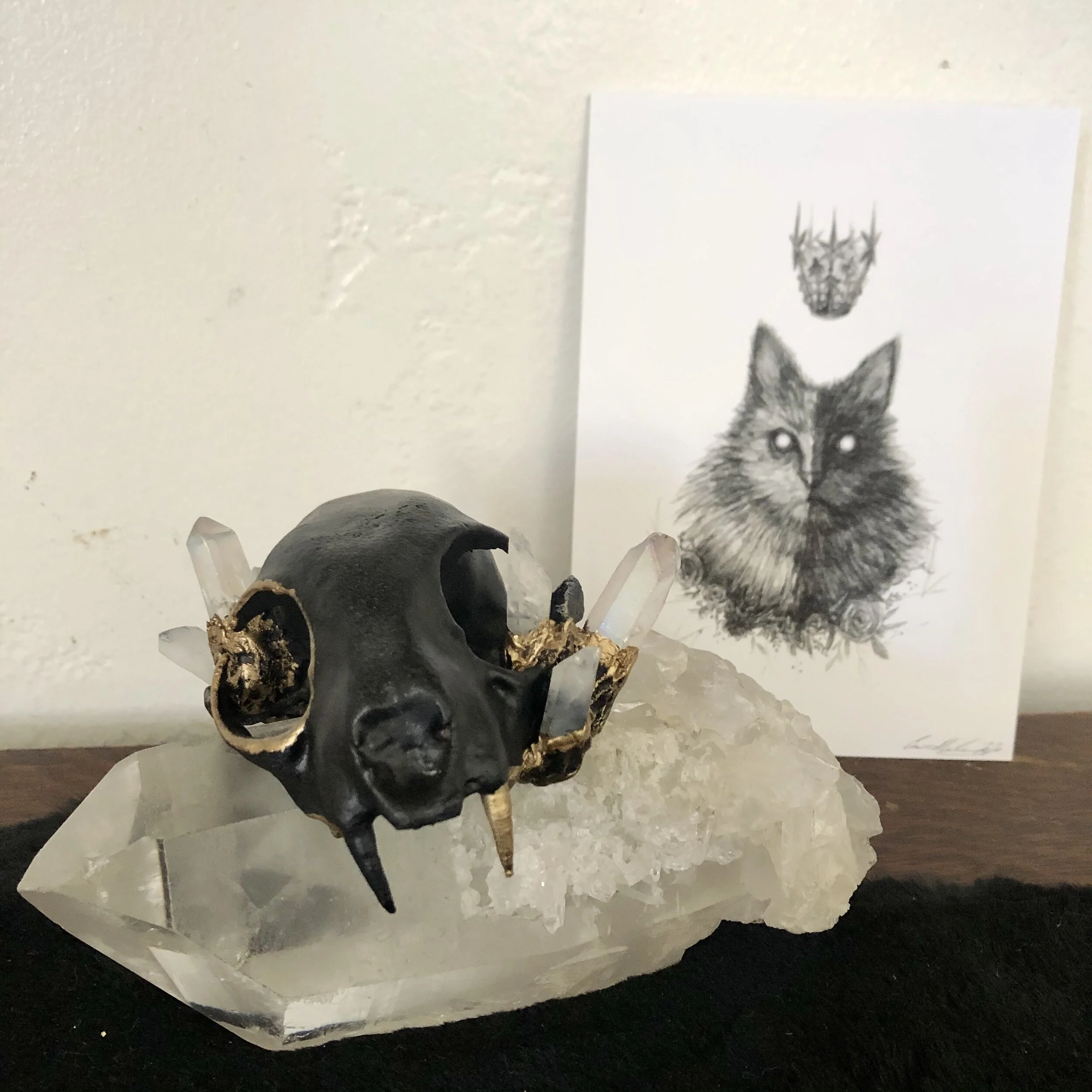 Faux kitty crystal skull