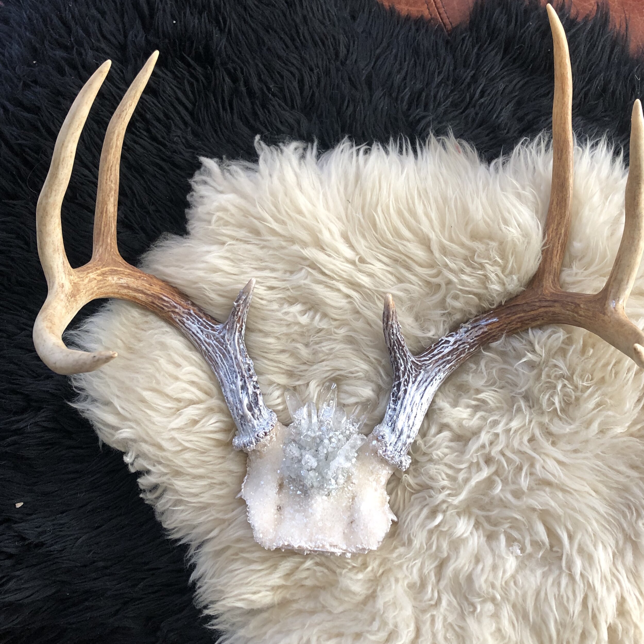 XL Blooming Crystal Antlers