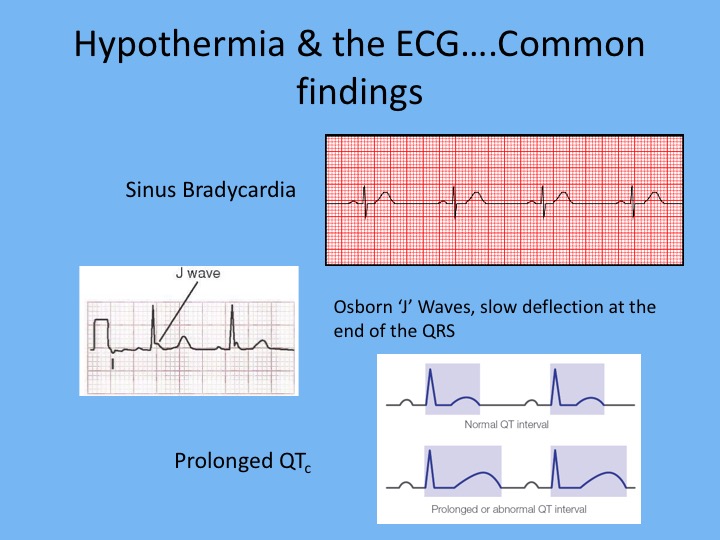 Slide07.jpg