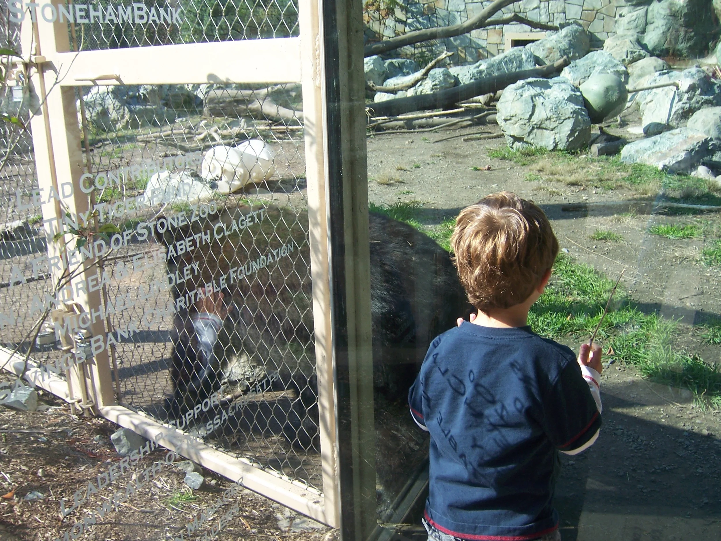 100_5184_1312 - Copy.jpg
