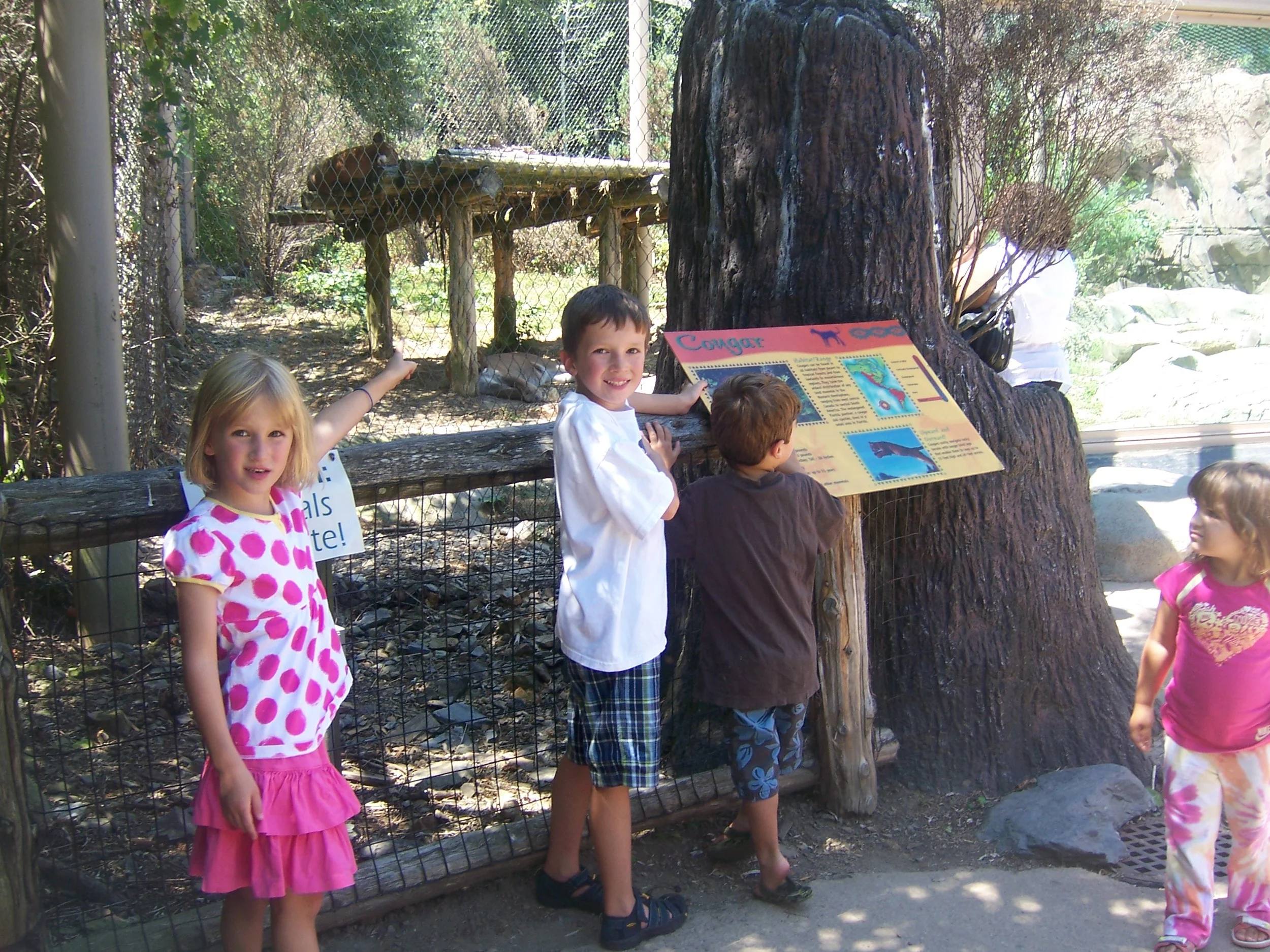 100_6680_0164.jpg
