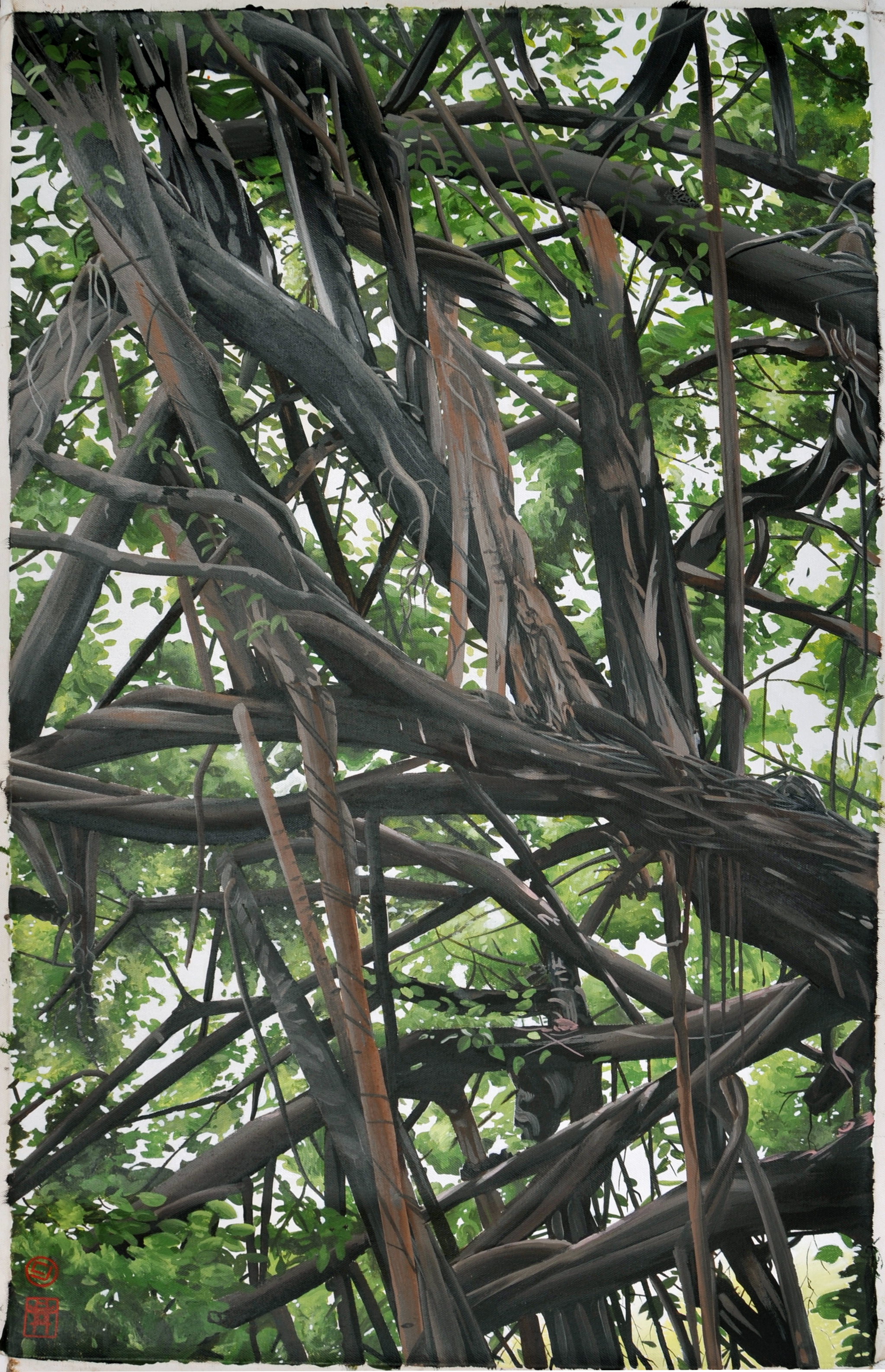 tree, Hanoi VN. (20x27)