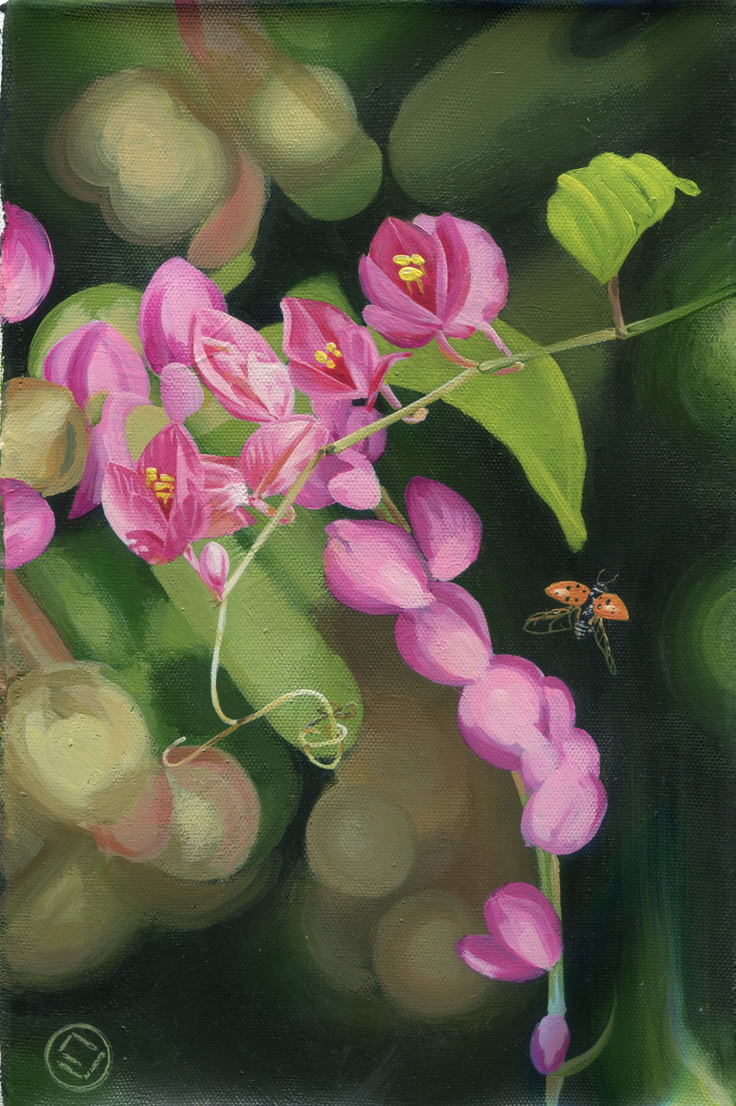 bouganvilla, Hanoi VN. (6x10)