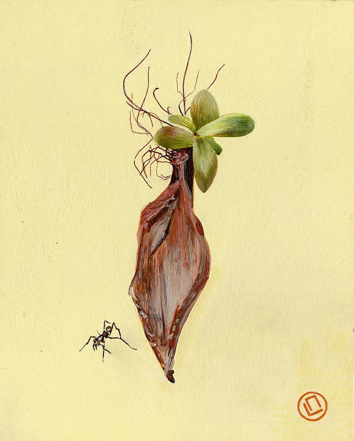 sprout and ant (12x16)