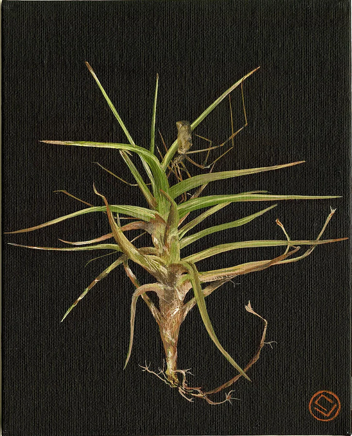 sprout and daddy long legs (12x16)