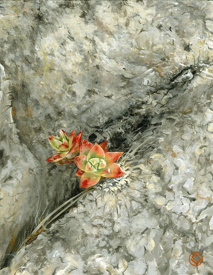 crack (12x18)
