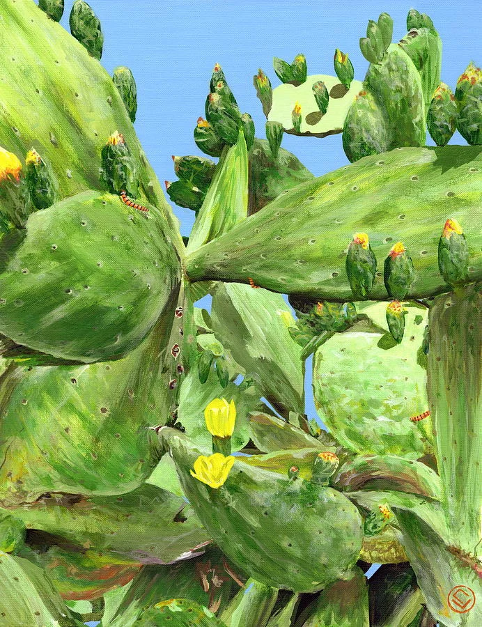 cactus-and-worms-cj-troxell.jpg