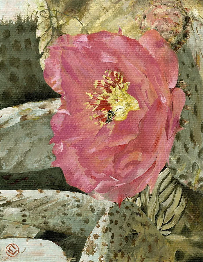 cactus-flower-cj-troxell.jpg