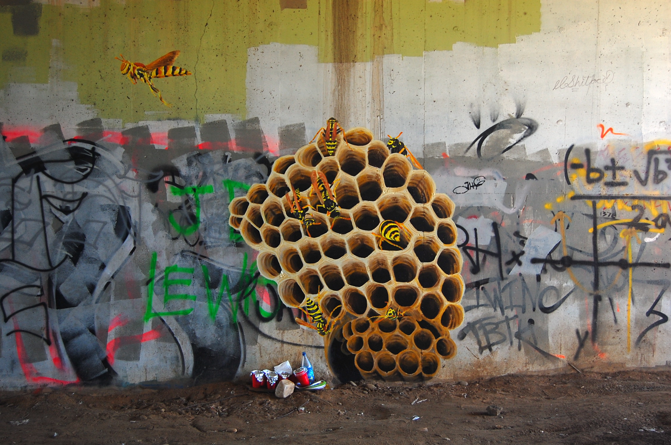 wasps, not bees