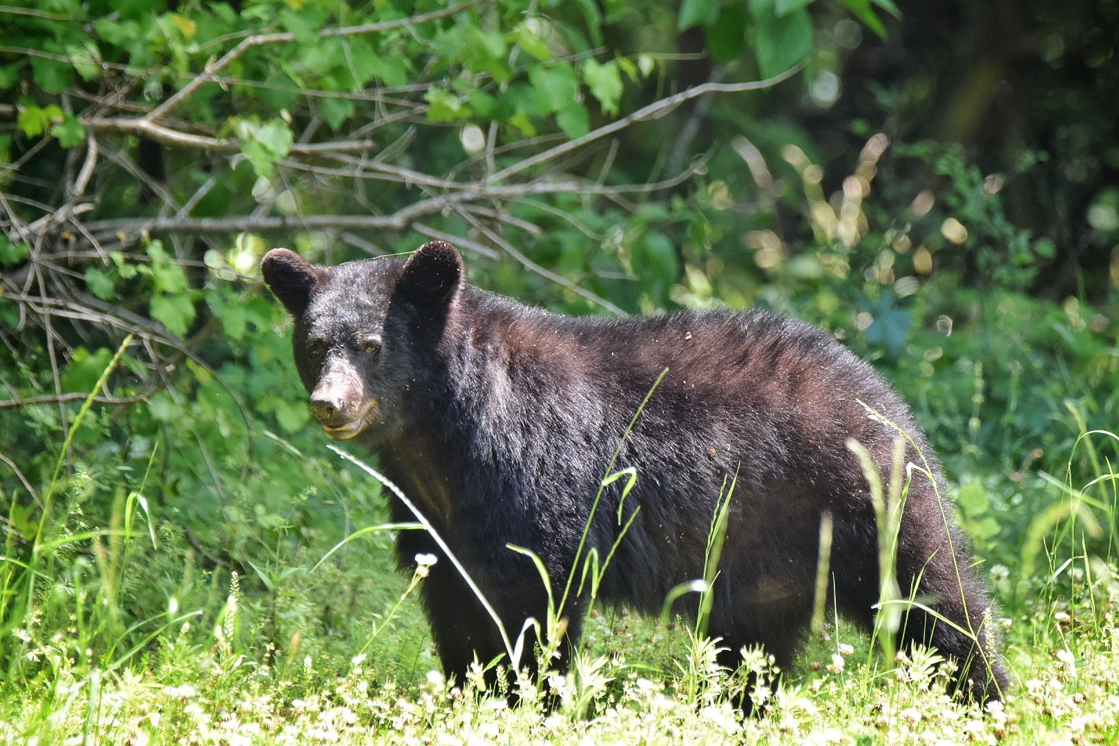 August/September '18 Update