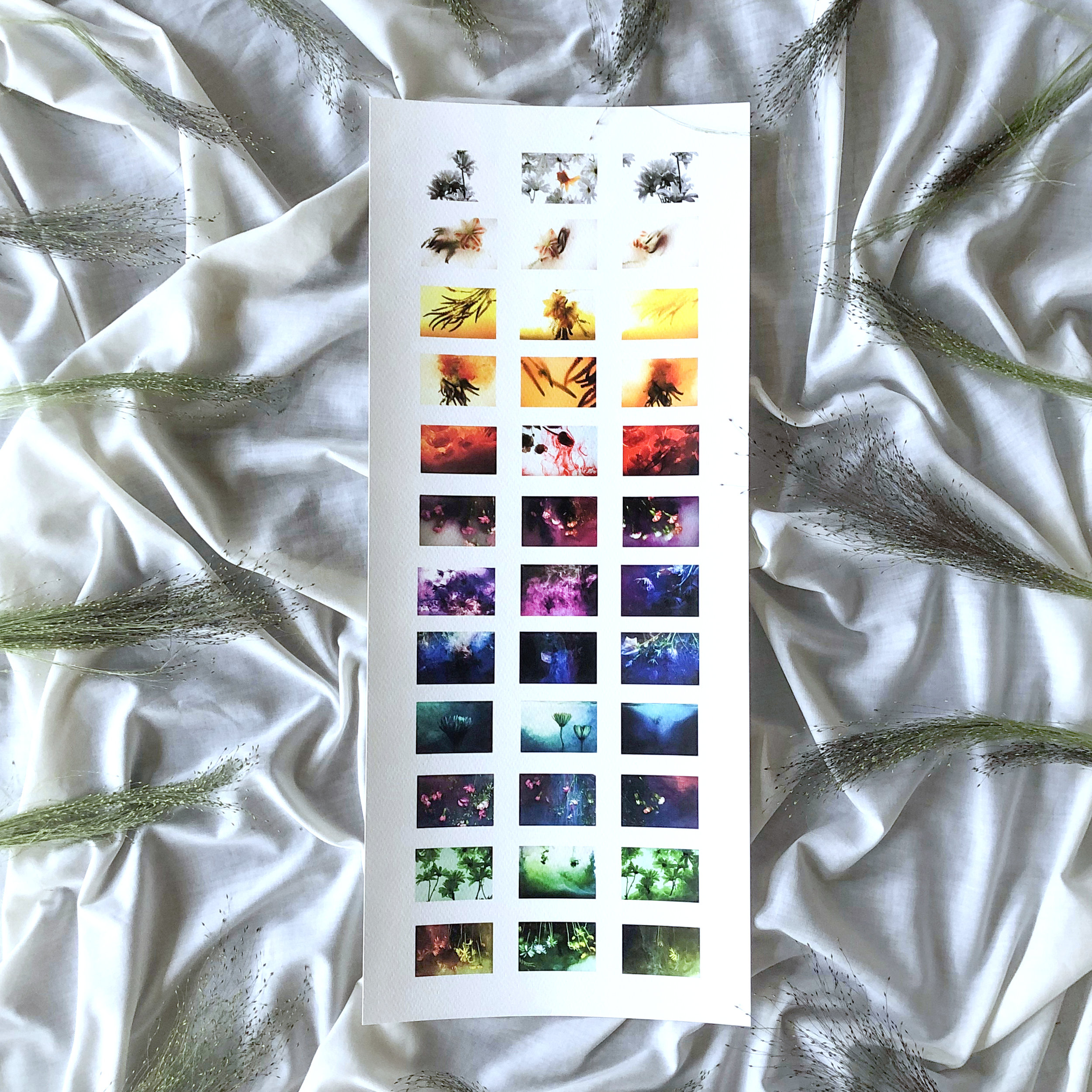 Full Spectrum
