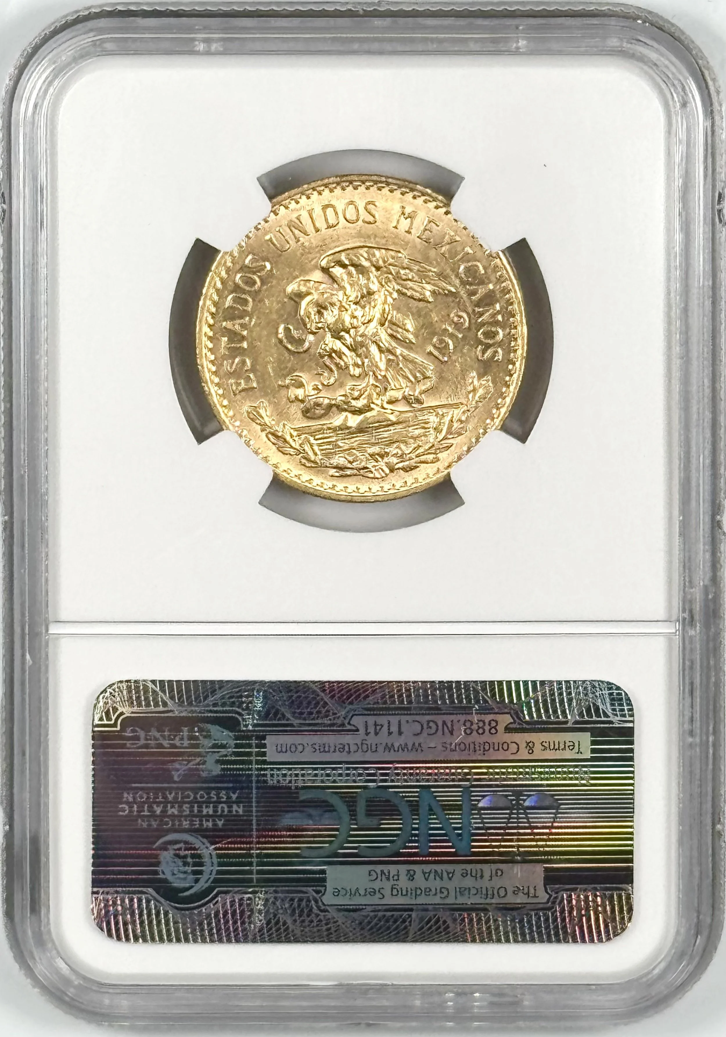 IMG_0519.jpeg