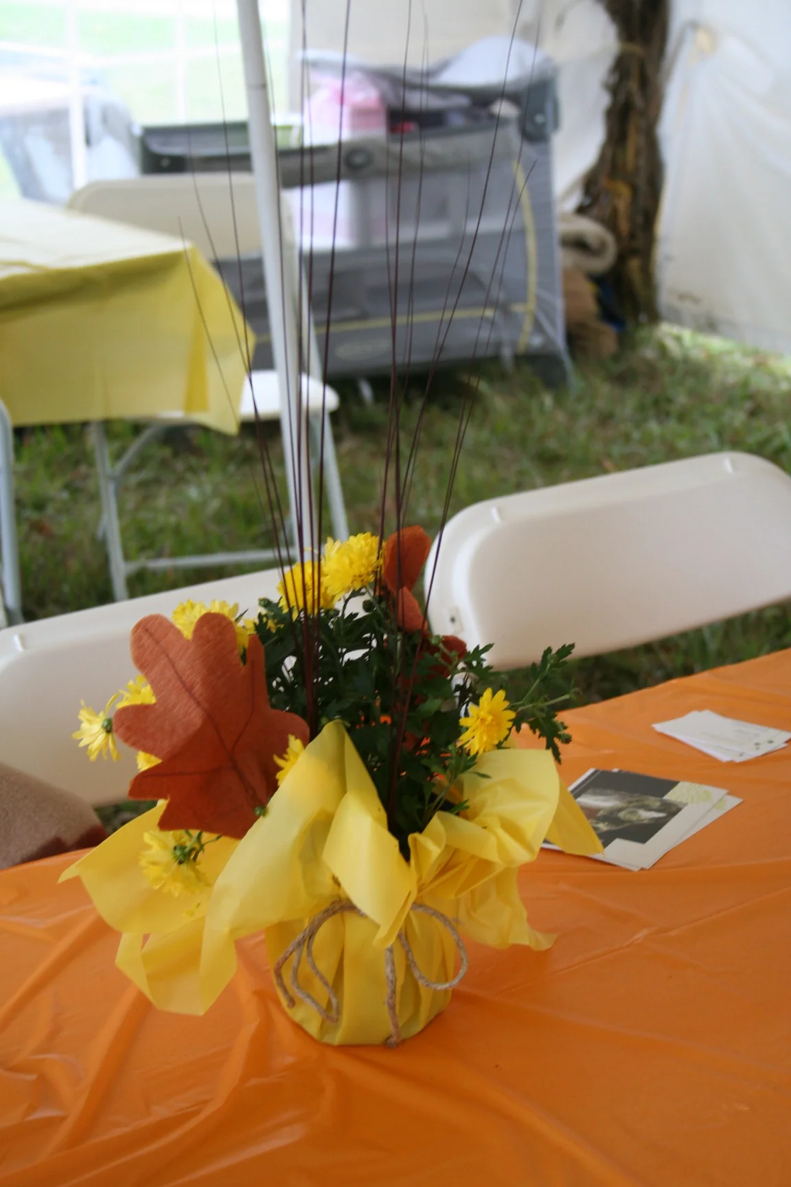 IMG_2668.jpg