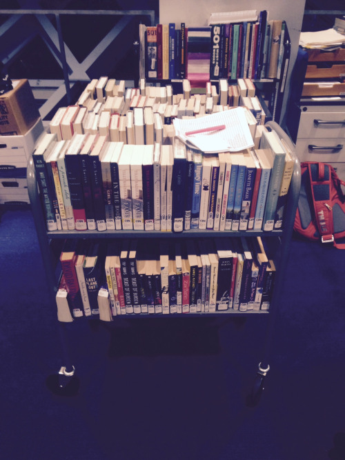 Two shelvedsof freshly weeded titles.
