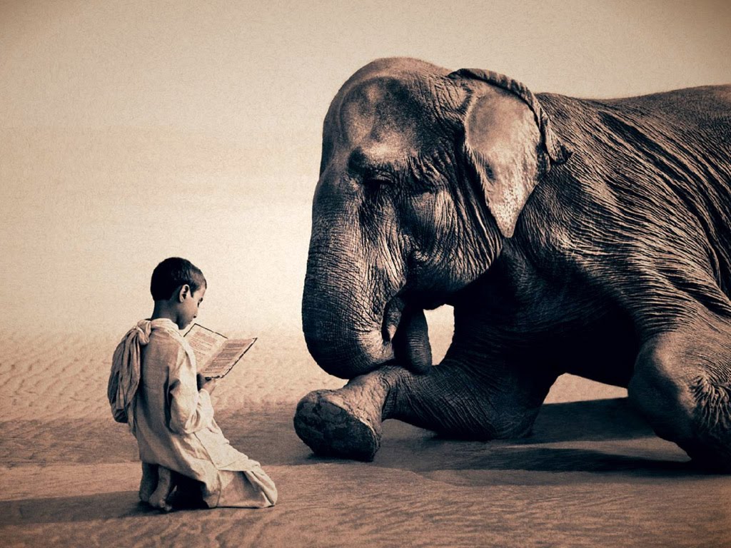(c) Gregory Colbert