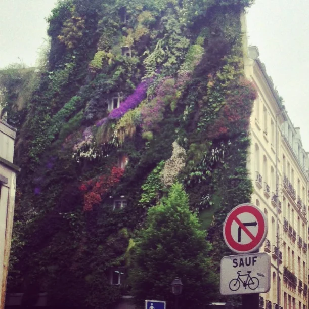living wall 22.JPG