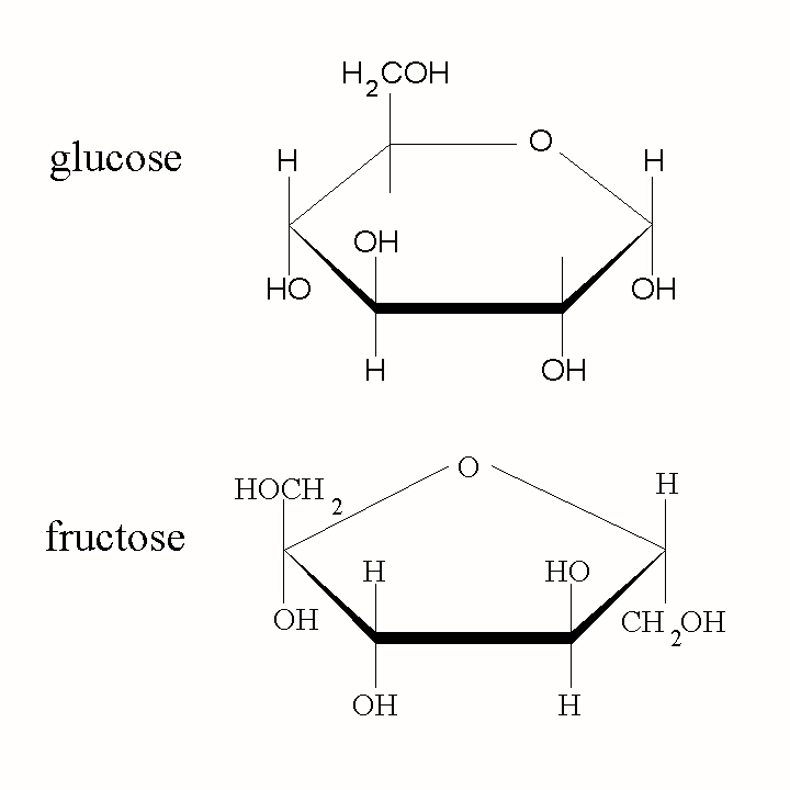 Is Sugar Sugar? Glucose vs. Fructose #FedUpChallenge