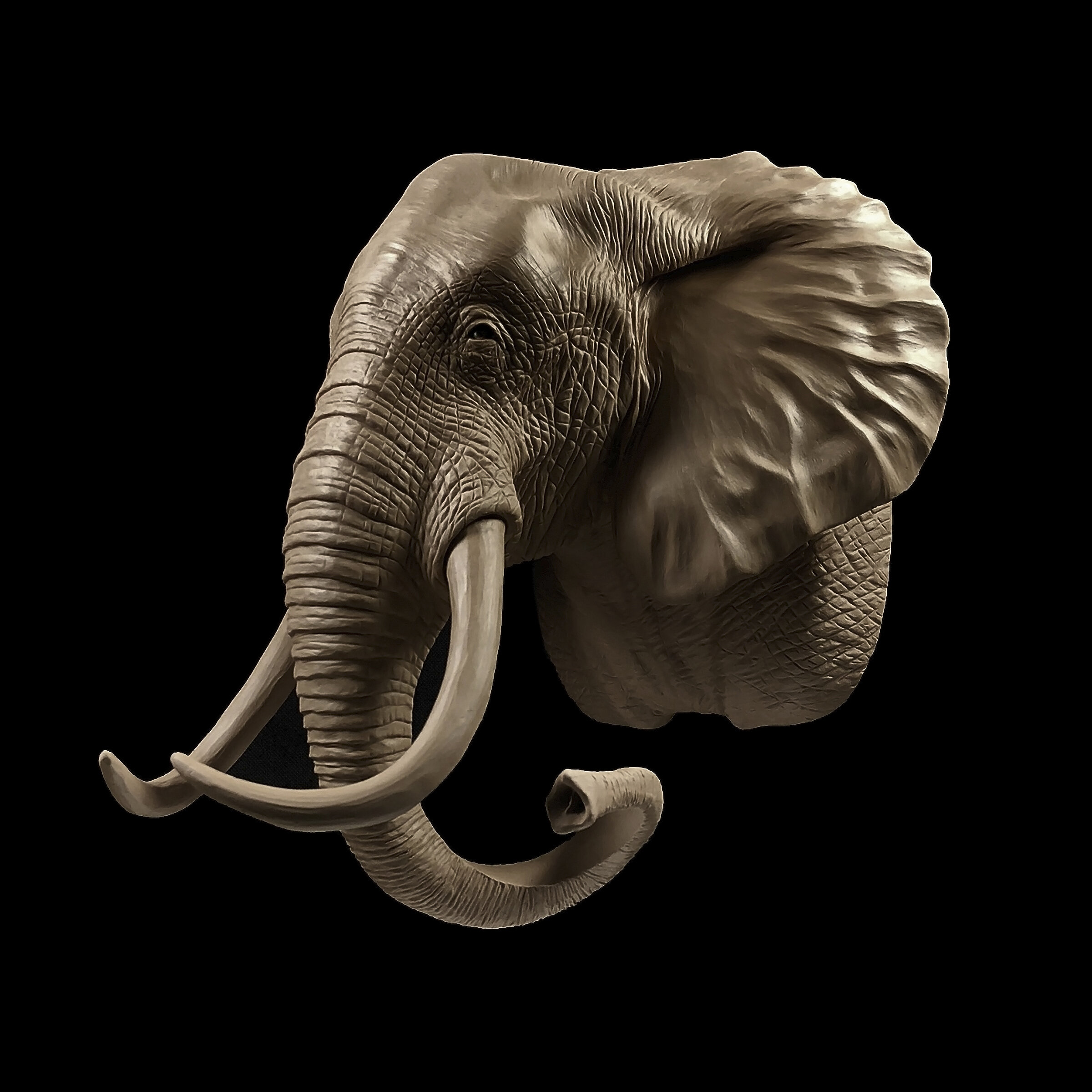 Elephant 1.jpg