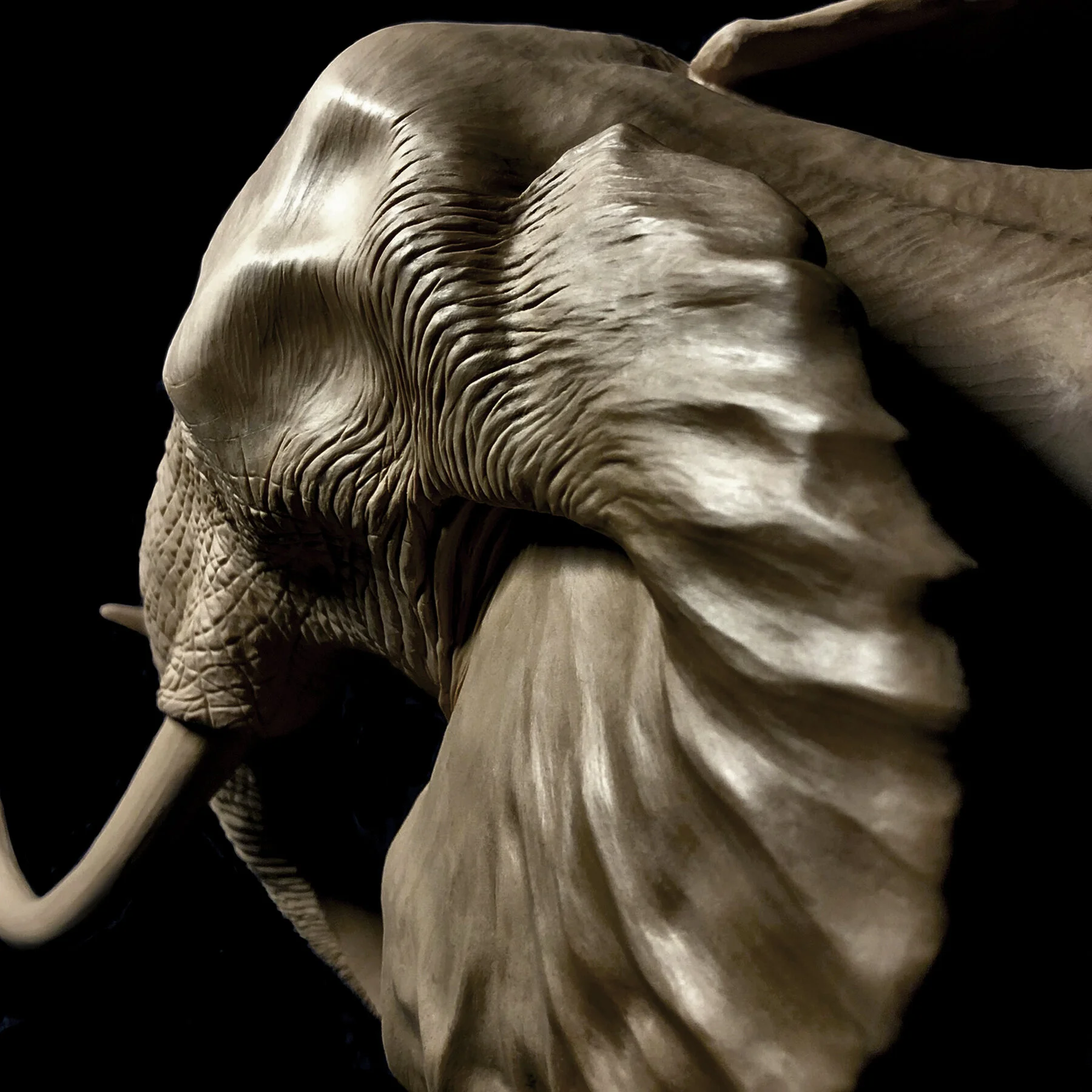 Elephant Detail 3.jpg