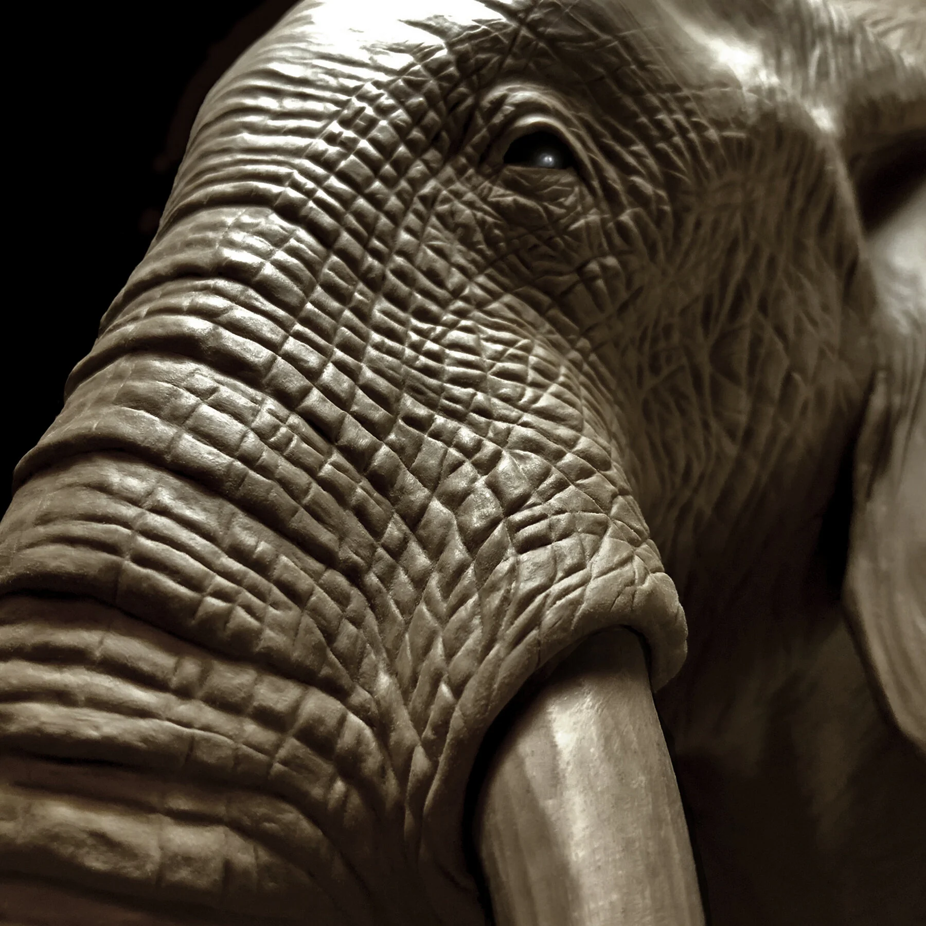 Elephant Detail 2.jpg