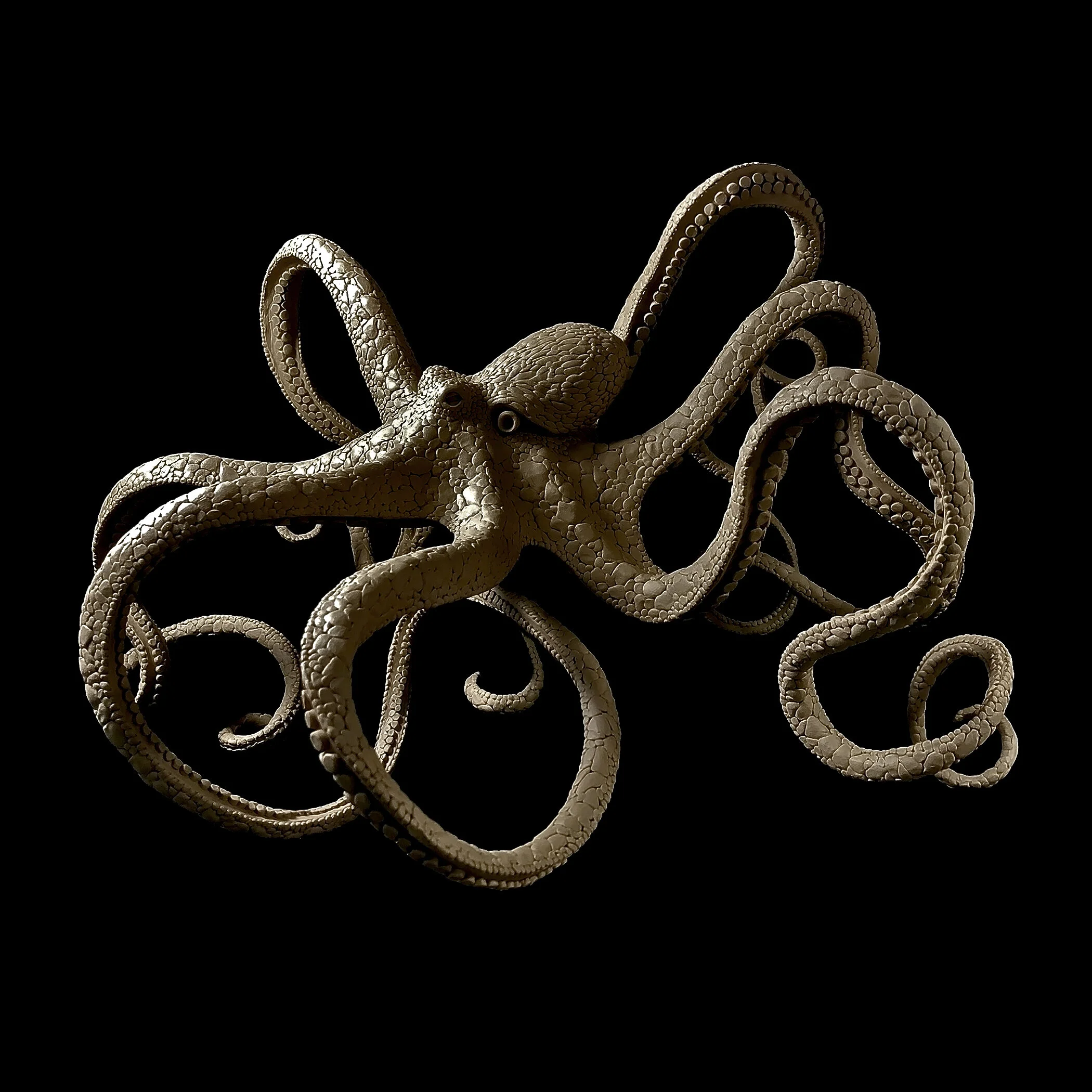 Bronze - %22Tako Octo%22.jpg
