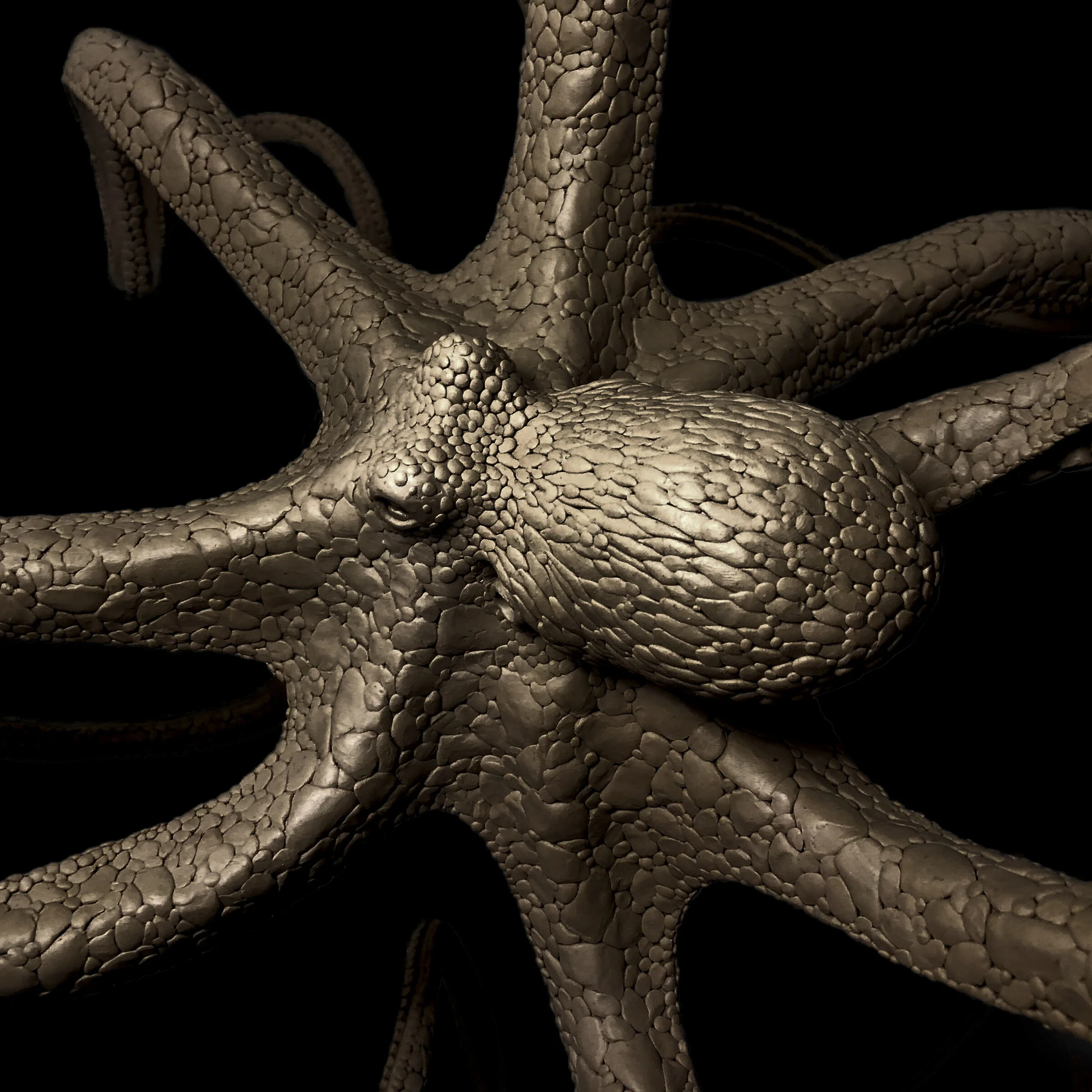 Octopus Detail 2.jpg