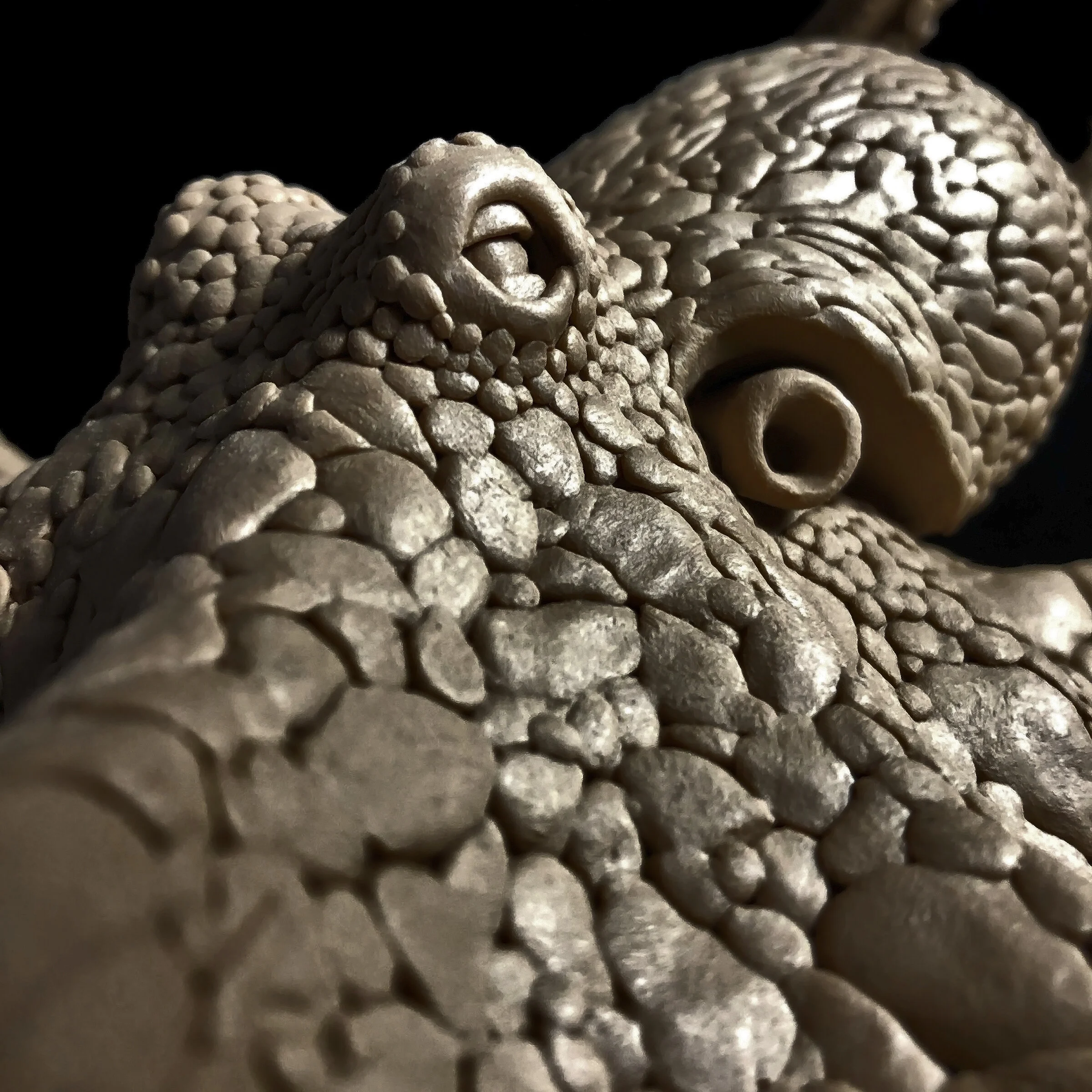 Octopus Detail 3.jpg