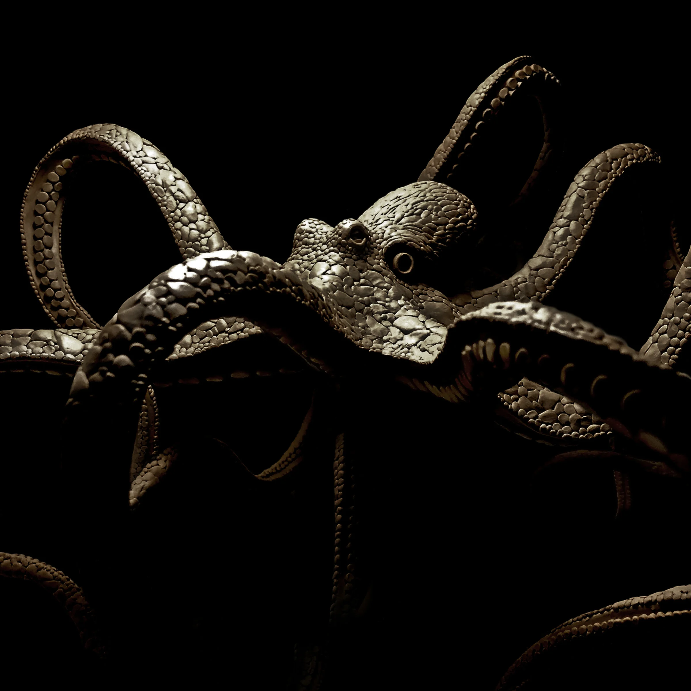 Octopus Crop 1.jpg